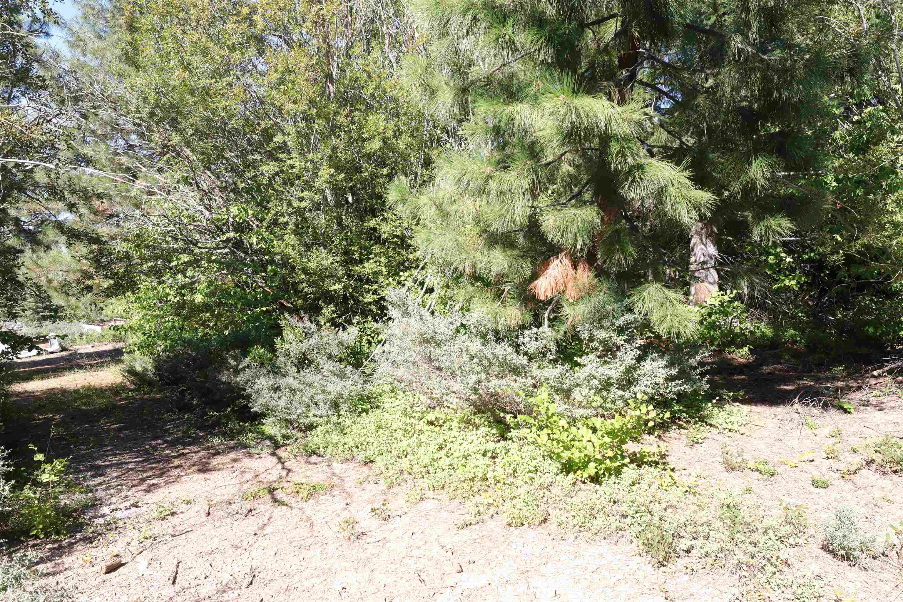 5.01 Acres Muledeer Dr.