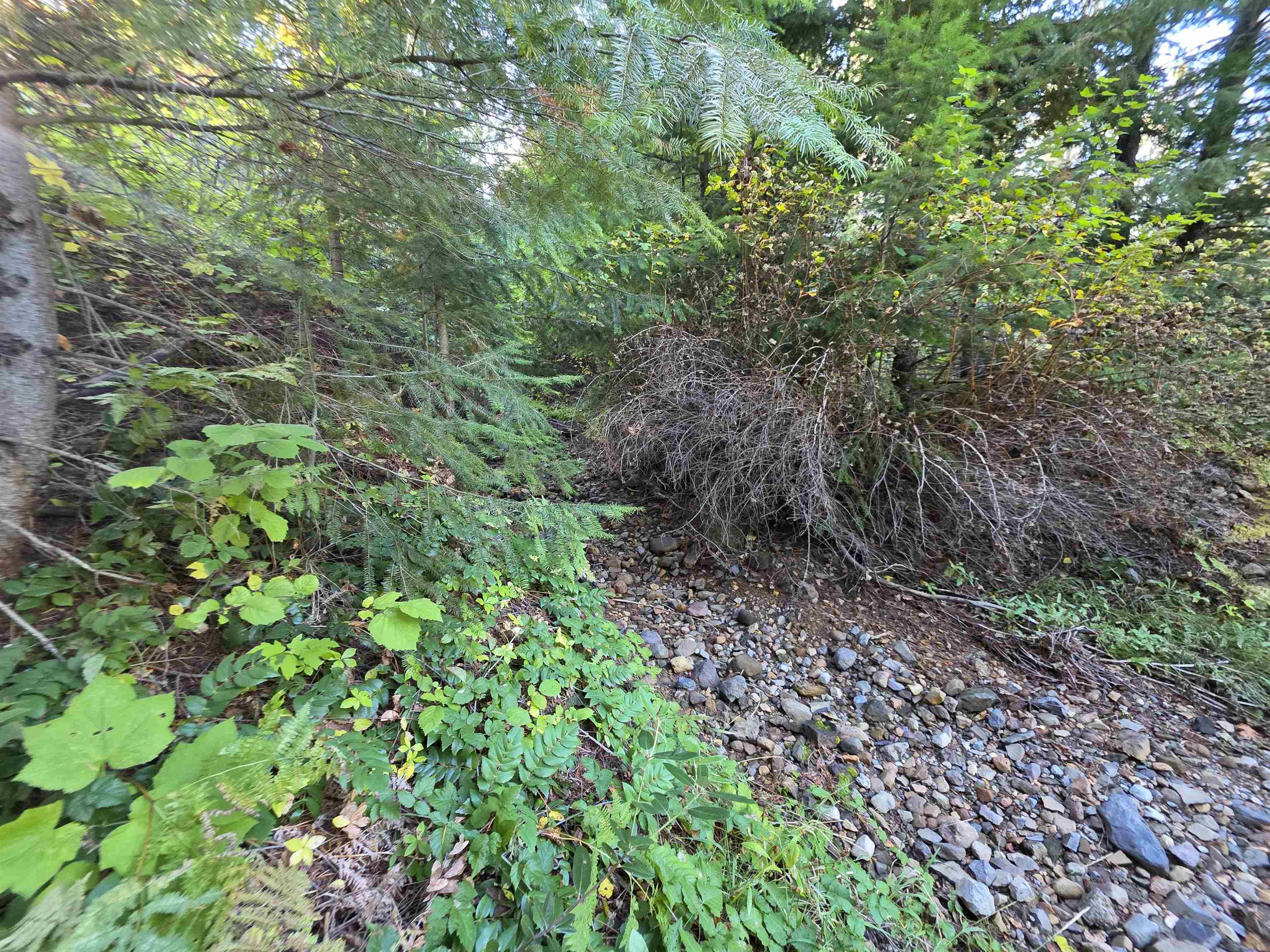 5.01 Acres Muledeer Dr.