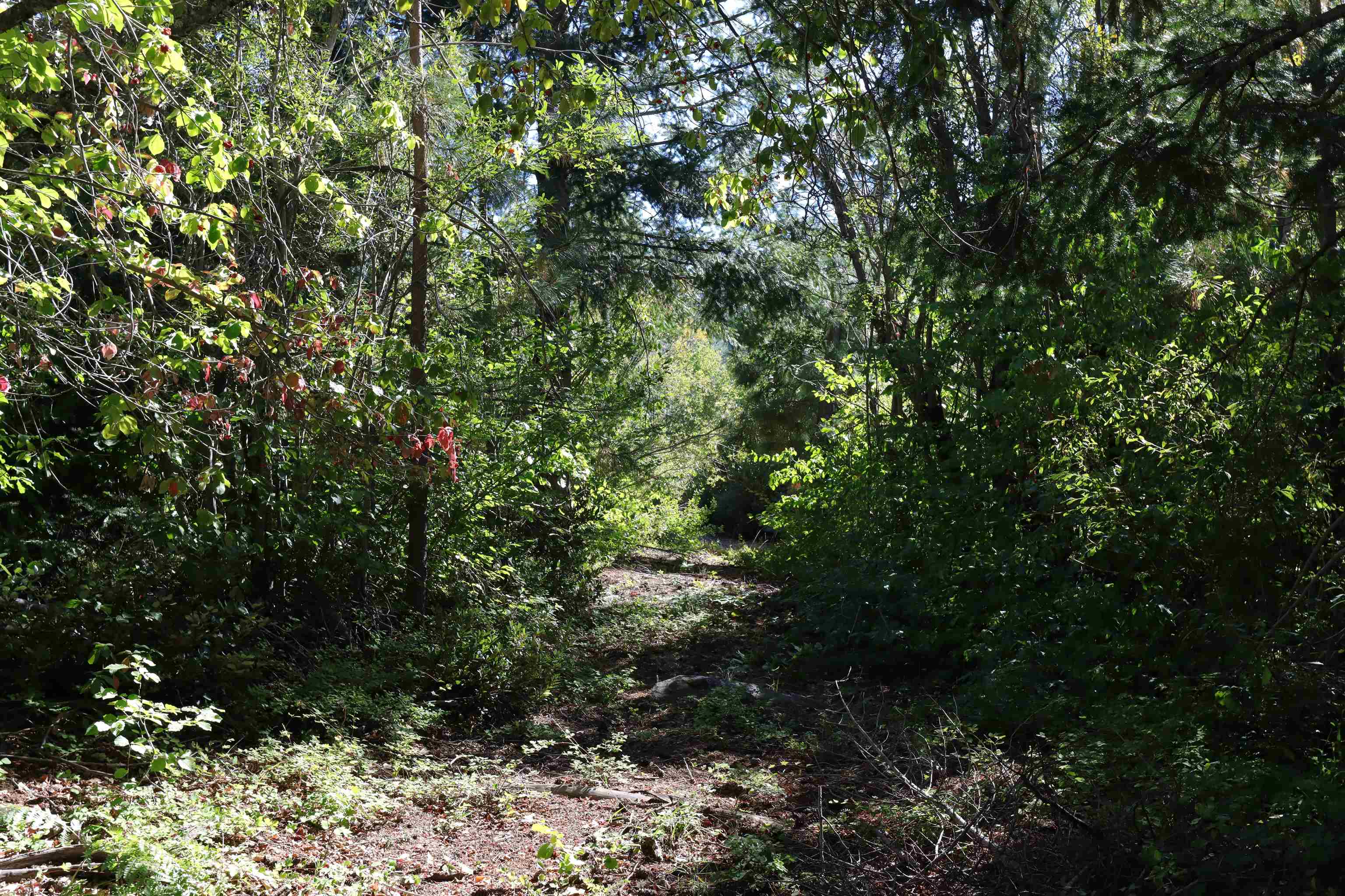 5.01 Acres Muledeer Dr.