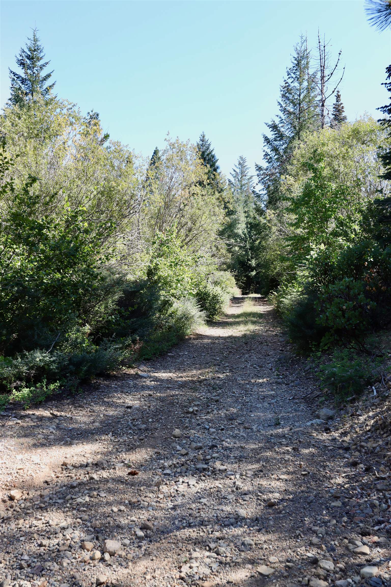 5.01 Acres Muledeer Dr.