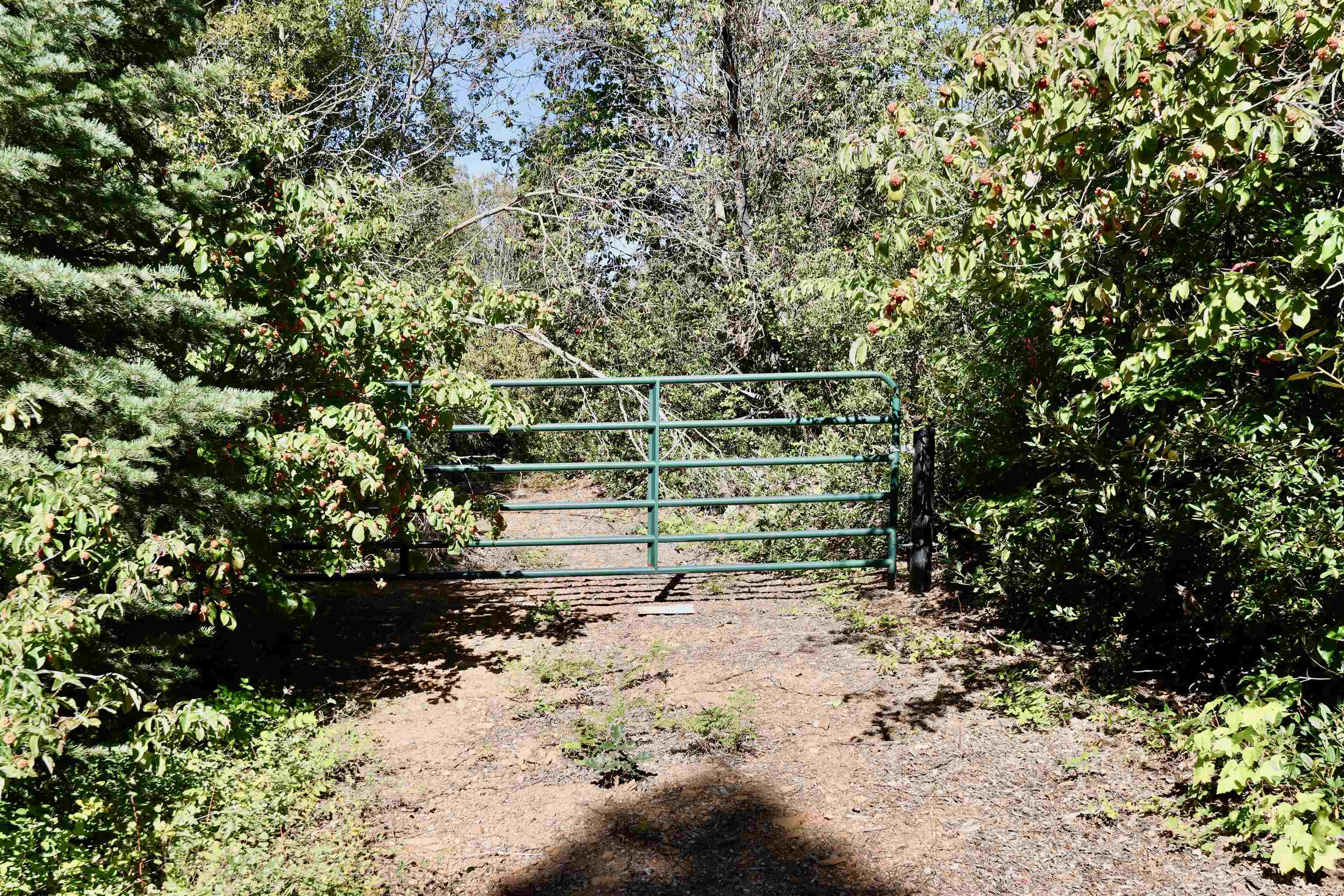 5.01 Acres Muledeer Dr.