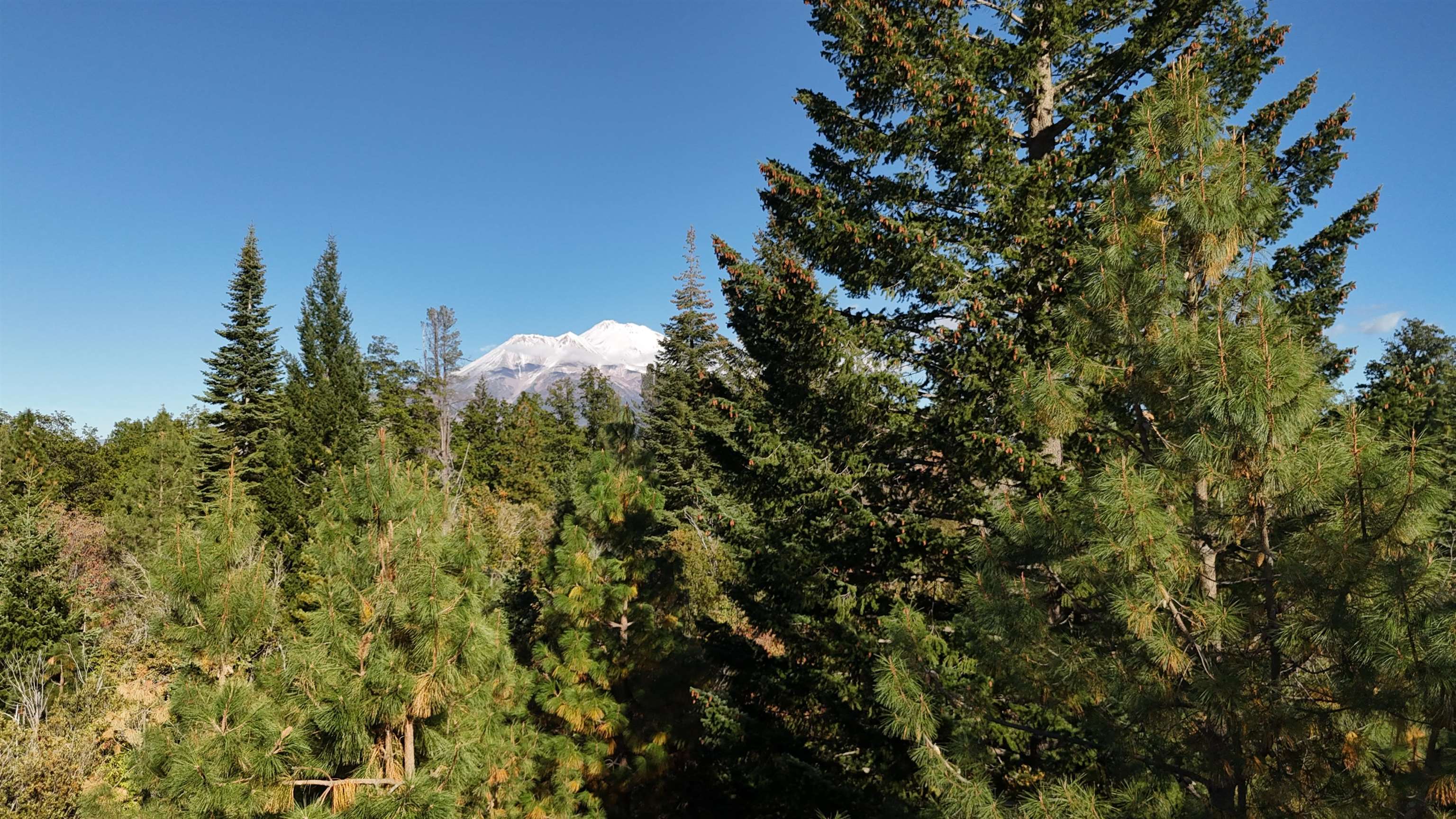 5.01 Acres Muledeer Dr.