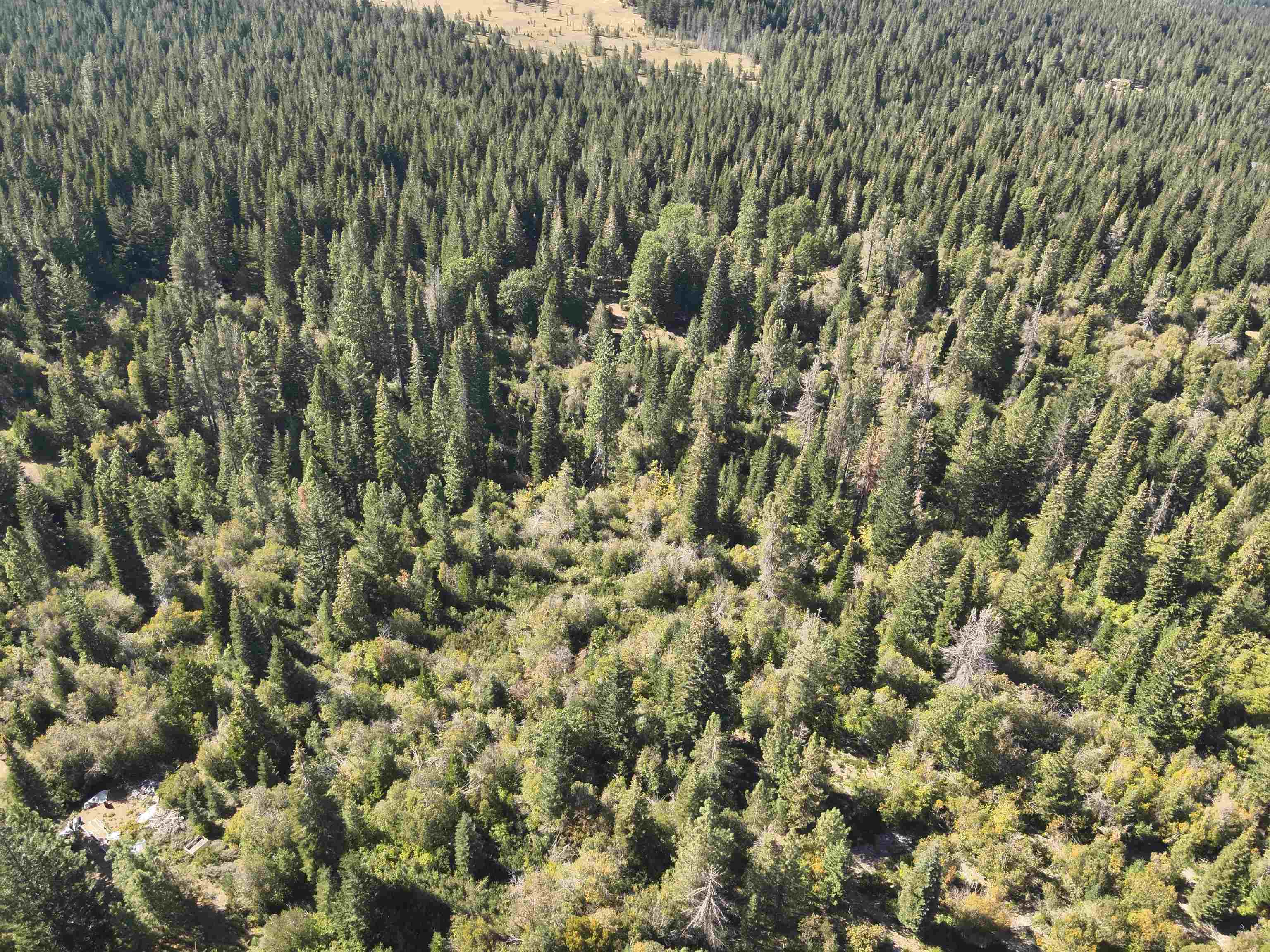 5.01 Acres Muledeer Dr.