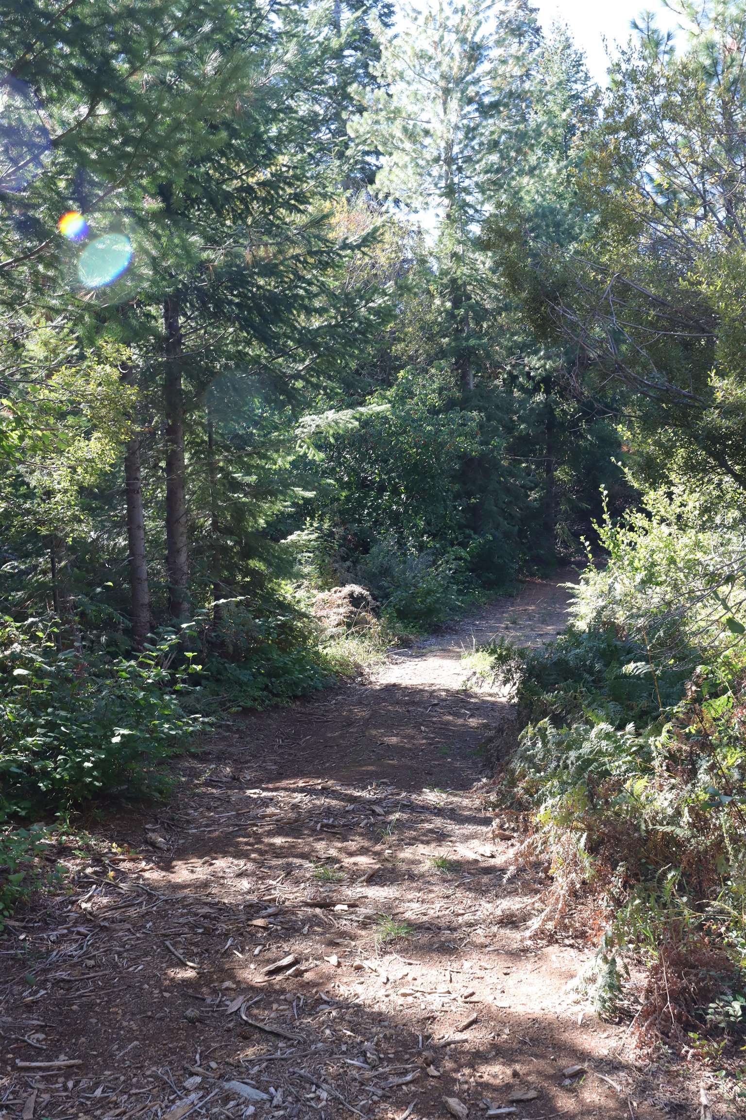 5.01 Acres Muledeer Dr.