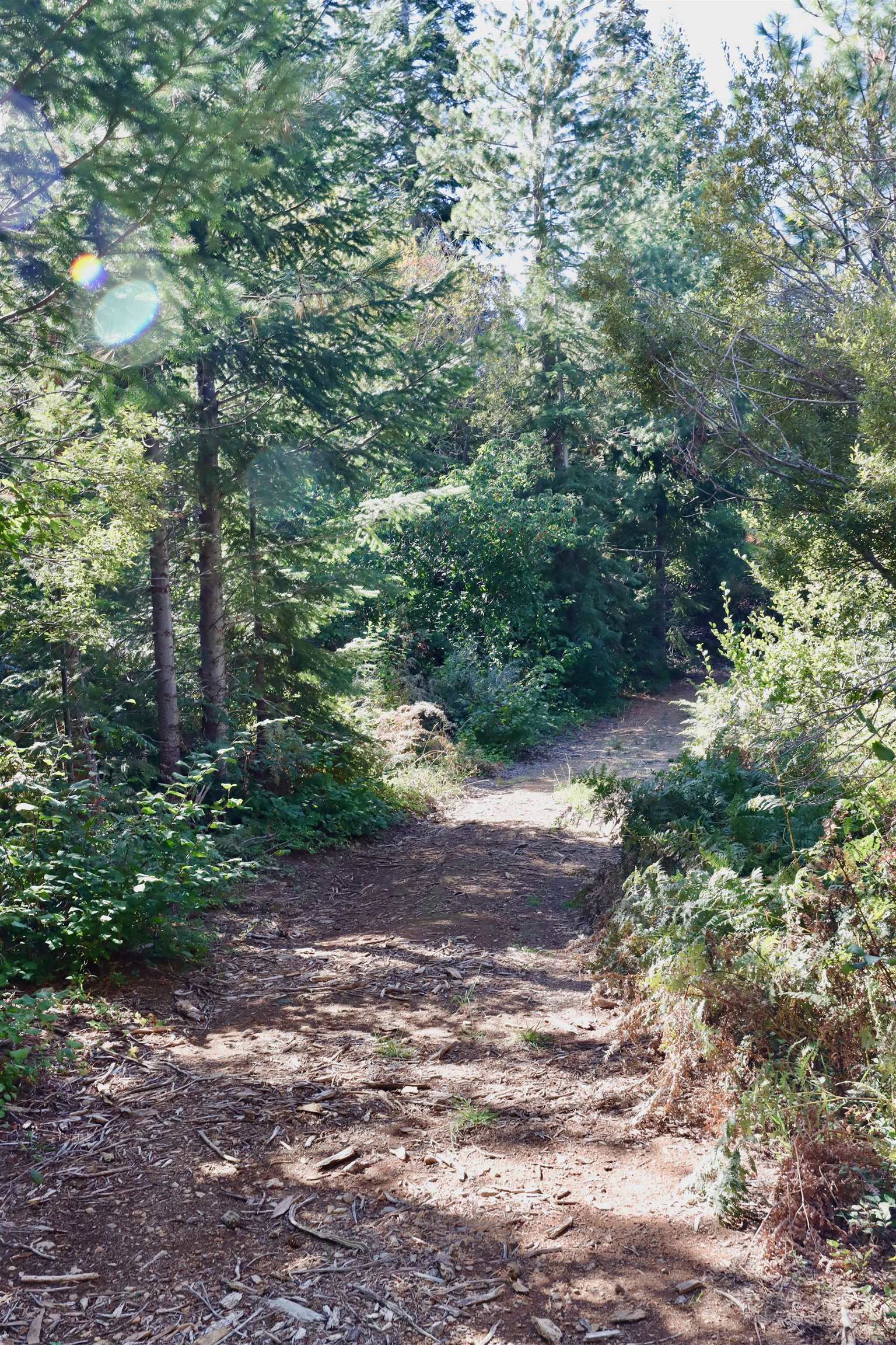 5.01 Acres Muledeer Dr.