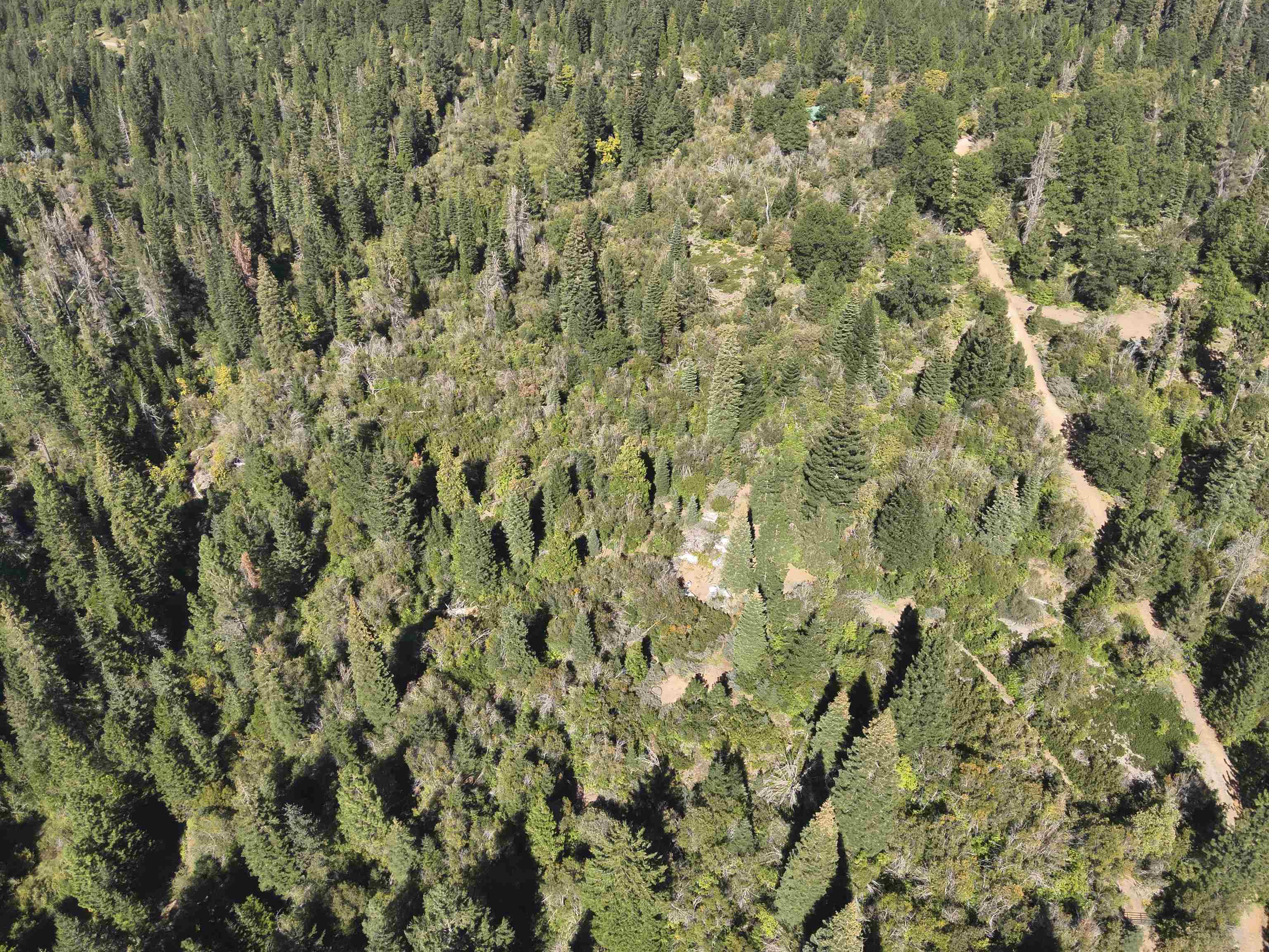 5.01 Acres Muledeer Dr.