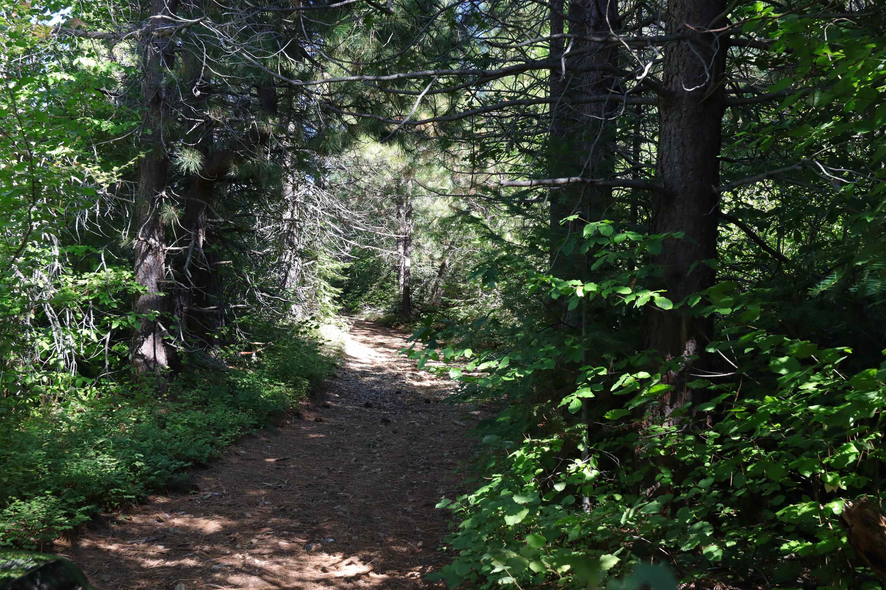 5.01 Acres Muledeer Dr.