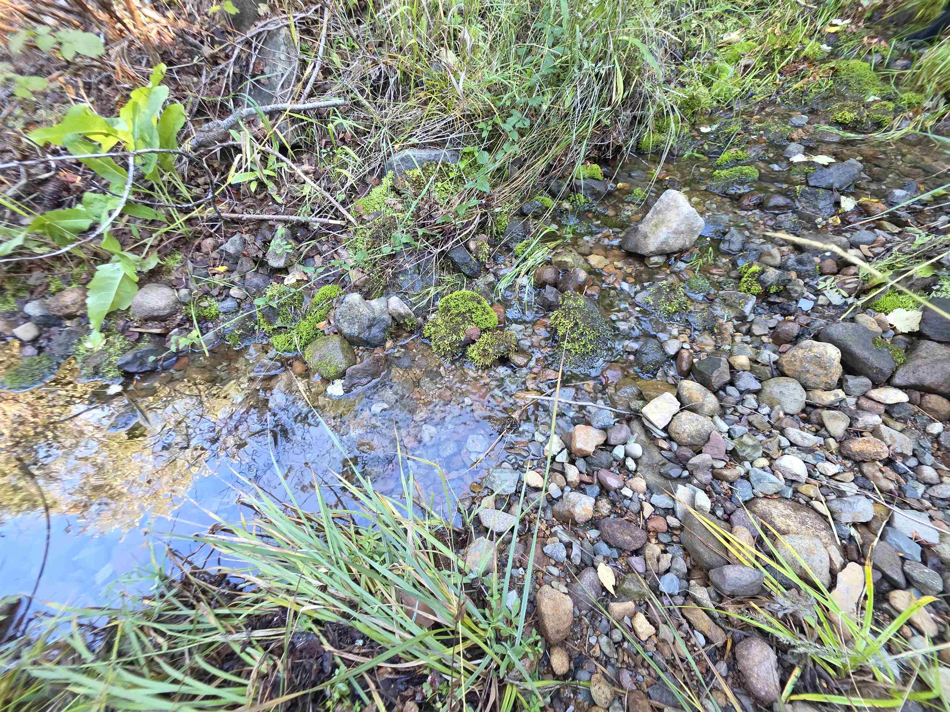 5.01 Acres Muledeer Dr.