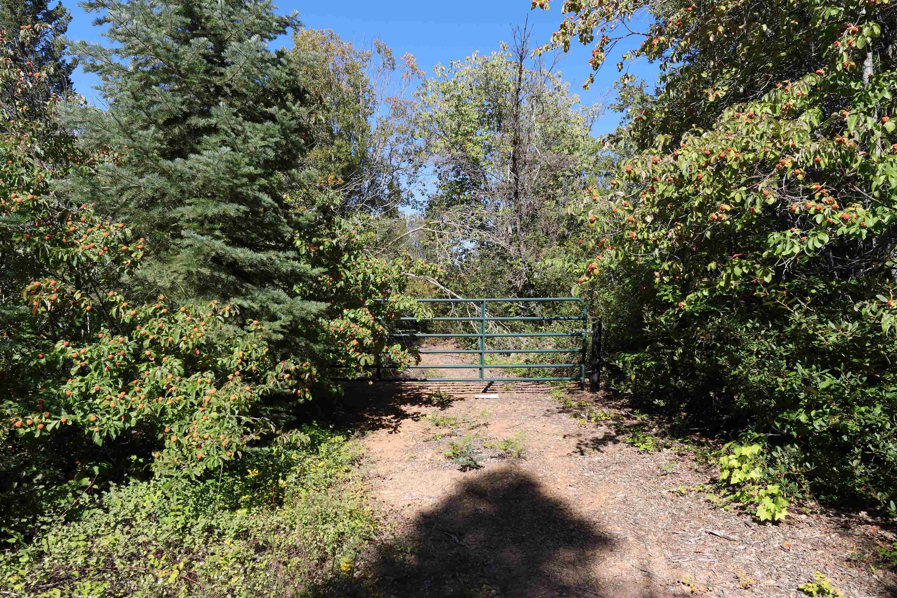 5.01 Acres Muledeer Dr.