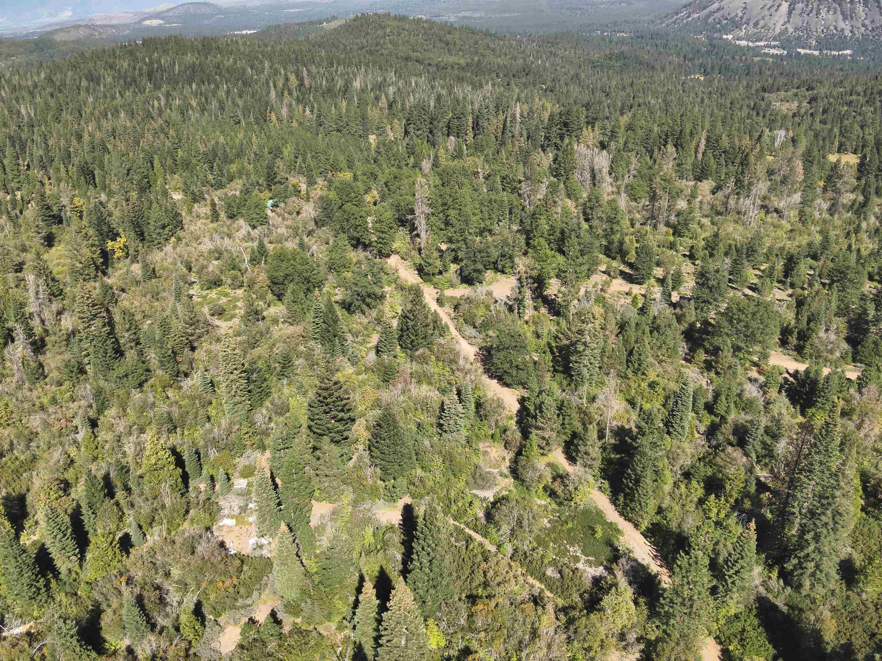 5.01 Acres Muledeer Dr.