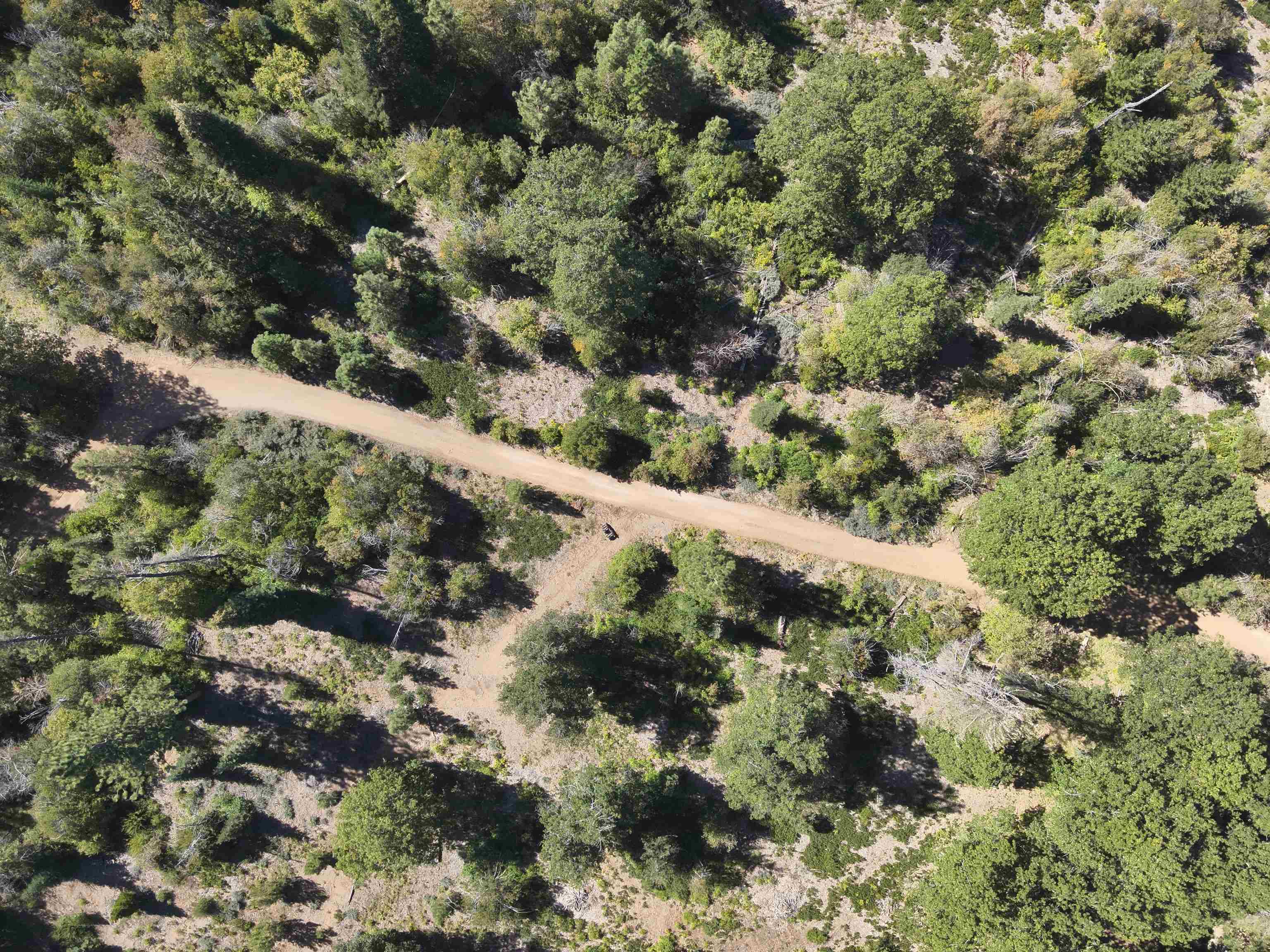 5.01 Acres Muledeer Dr.