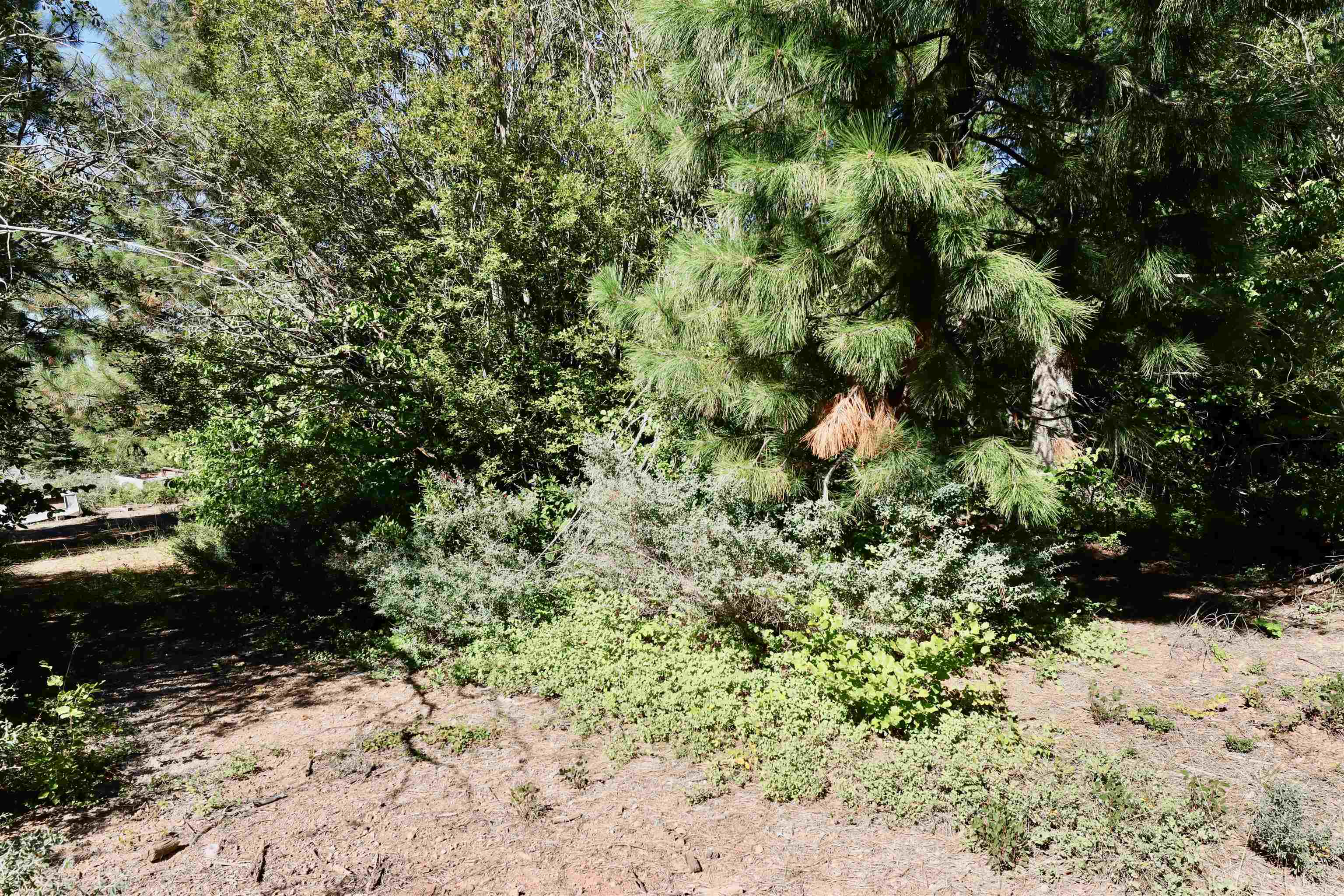 5.01 Acres Muledeer Dr.