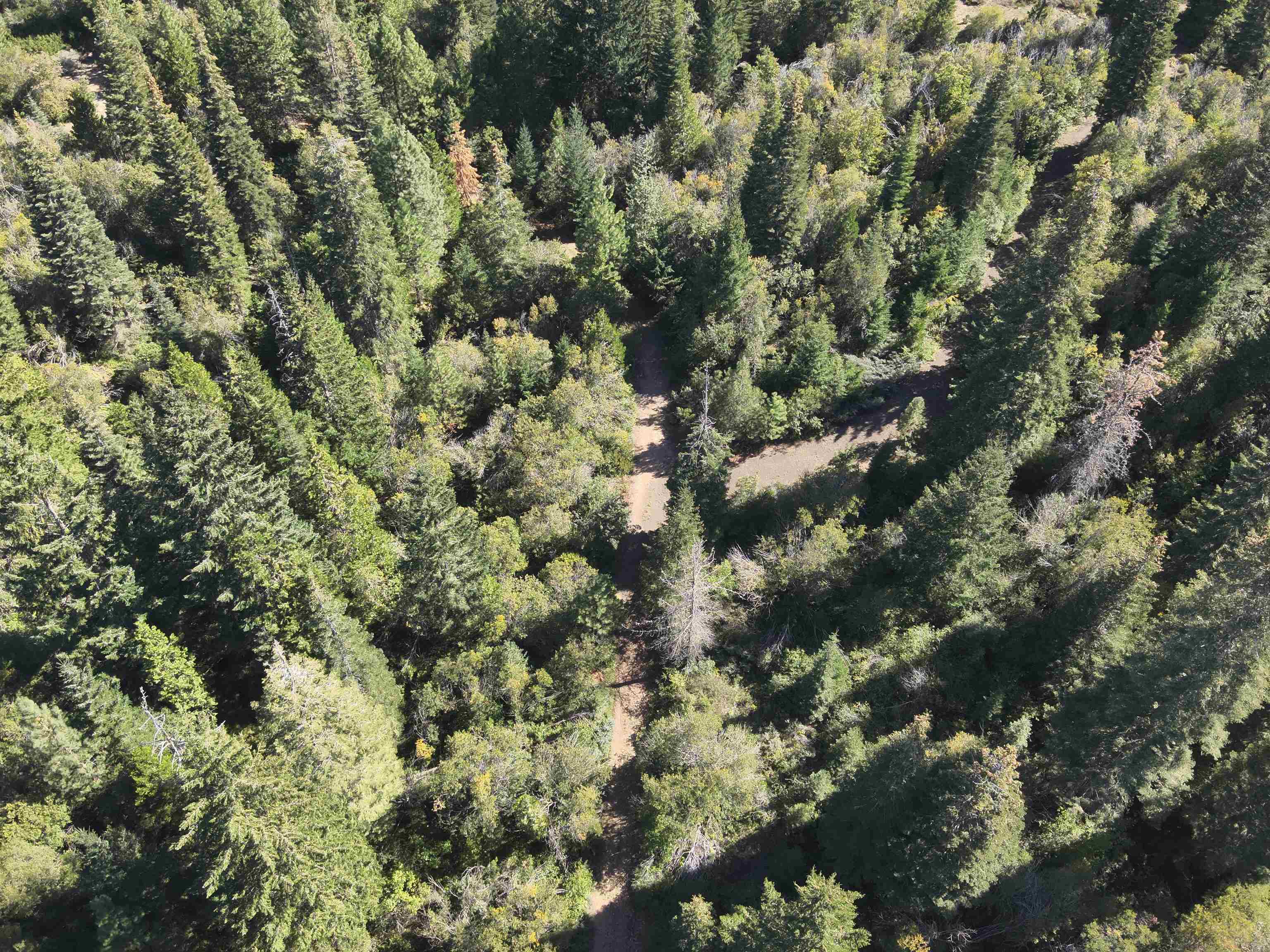 5.01 Acres Muledeer Dr.