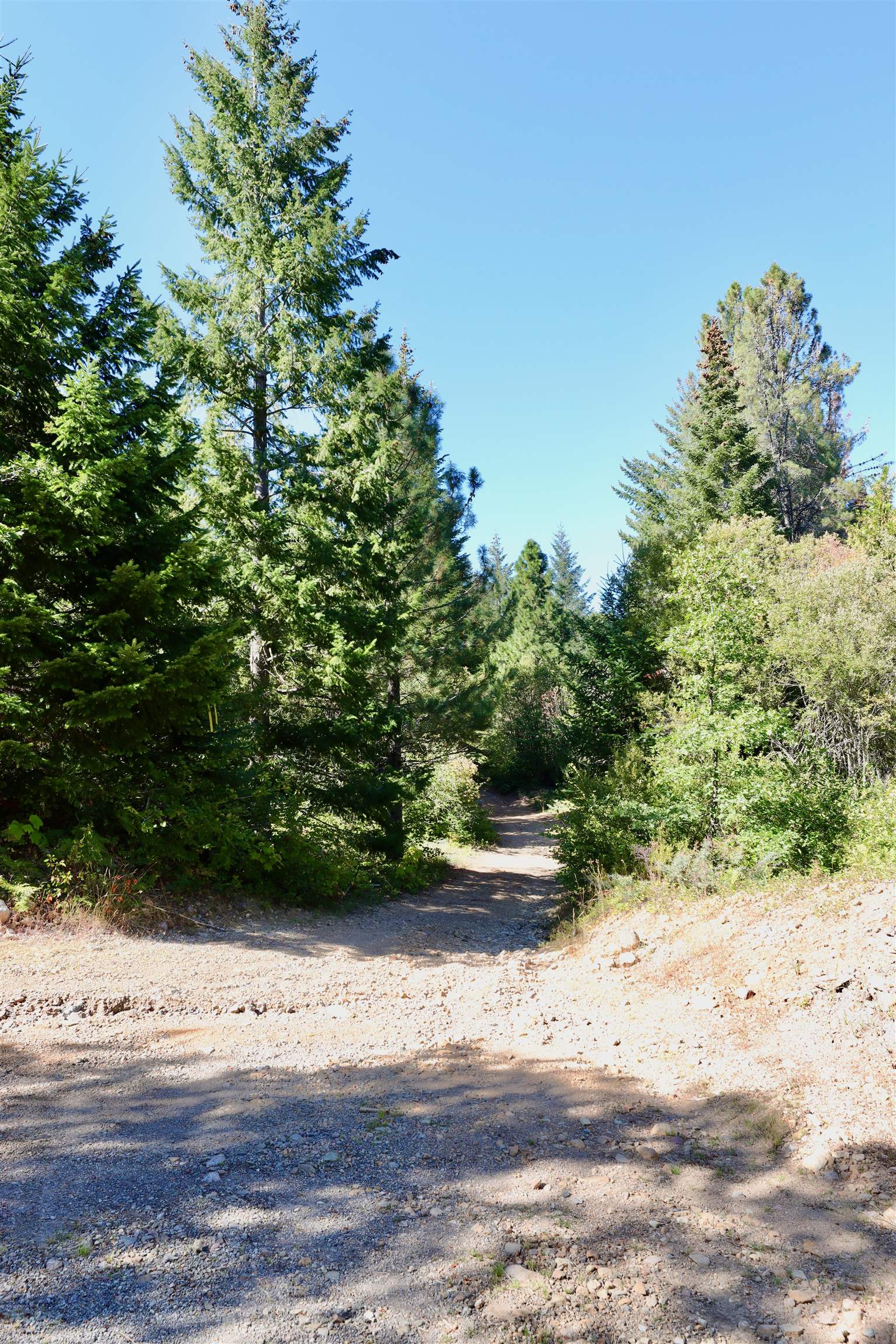 5.01 Acres Muledeer Dr.