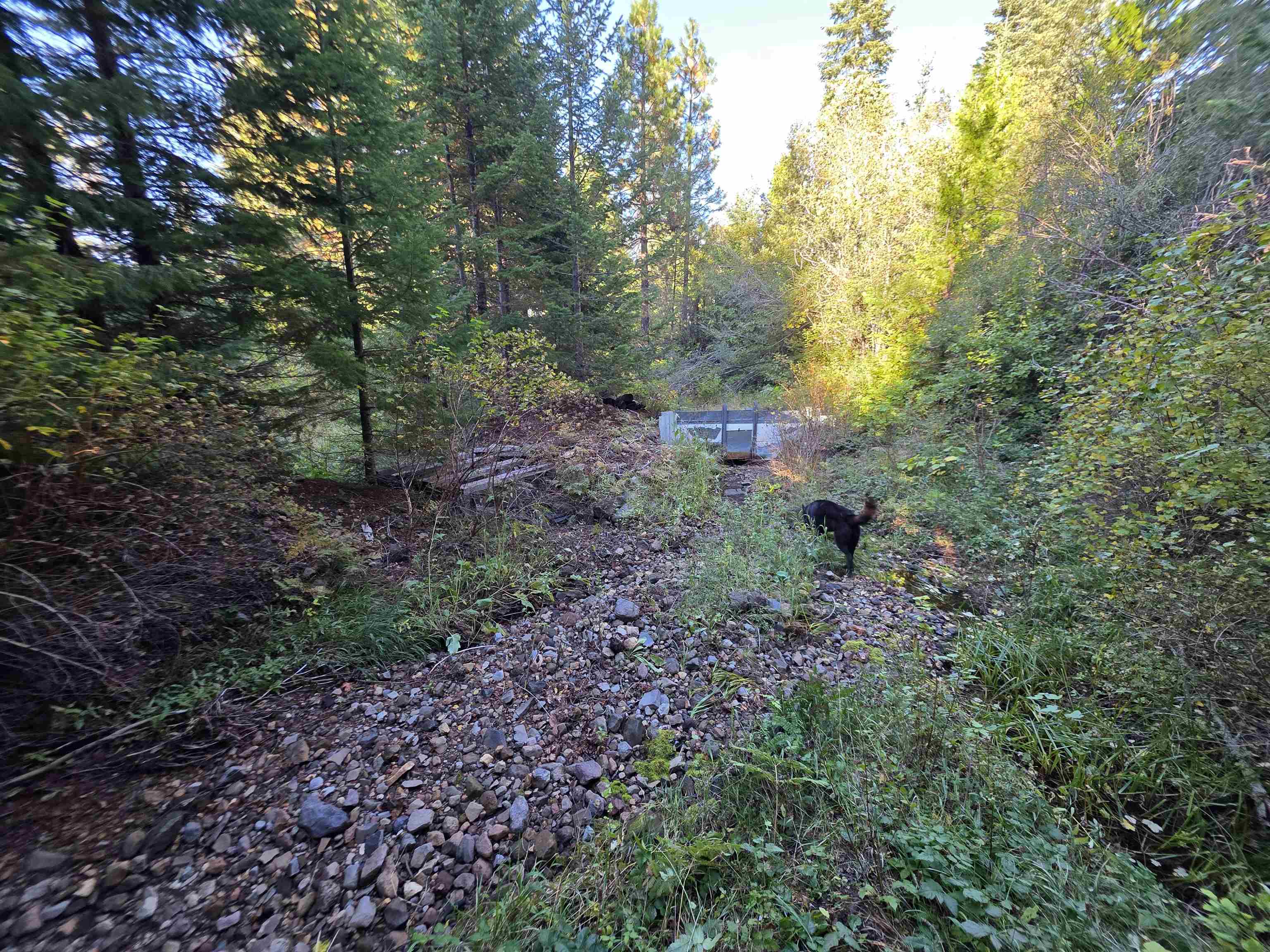 5.01 Acres Muledeer Dr.