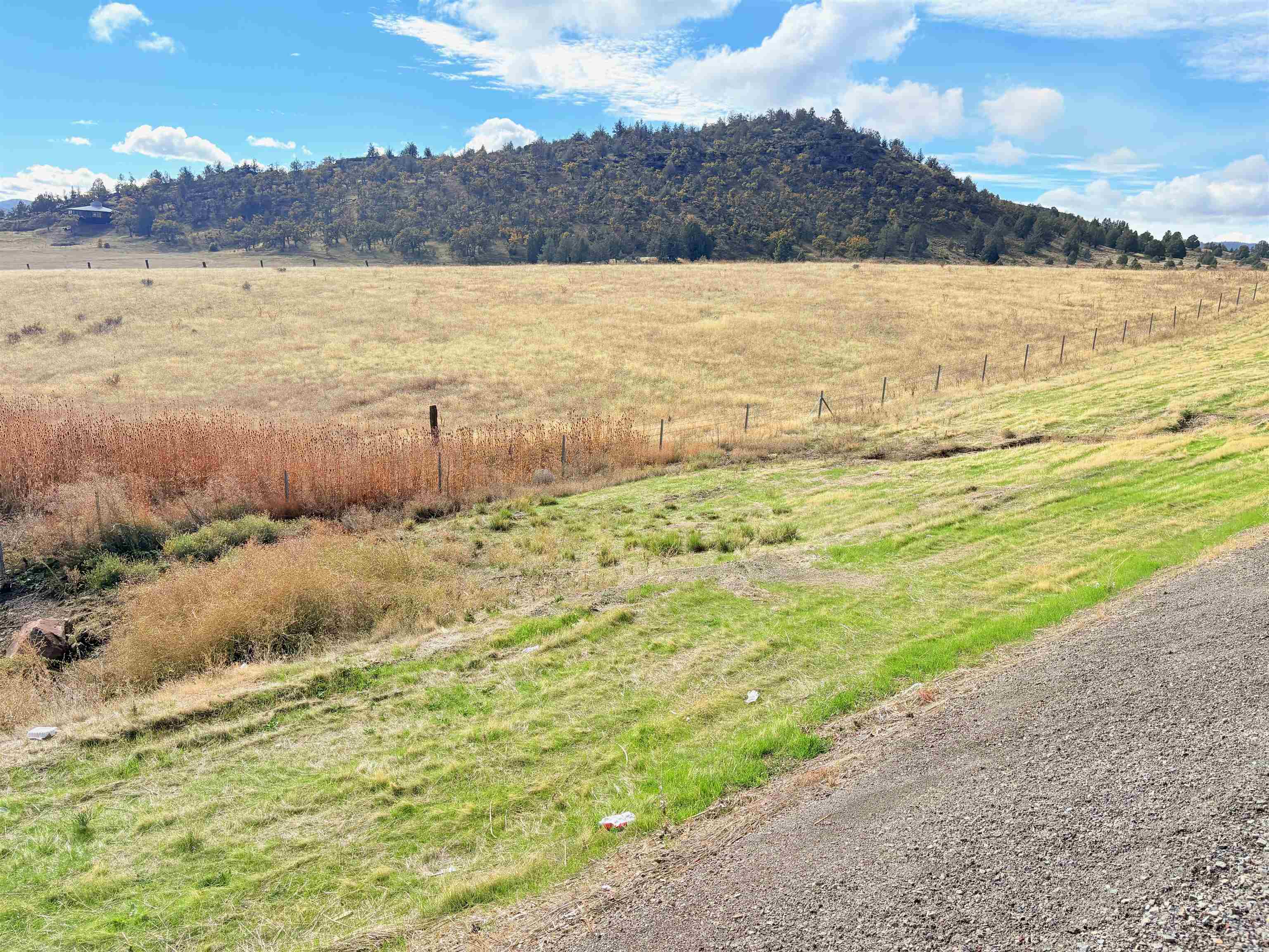 10 acres Riverview Dr.