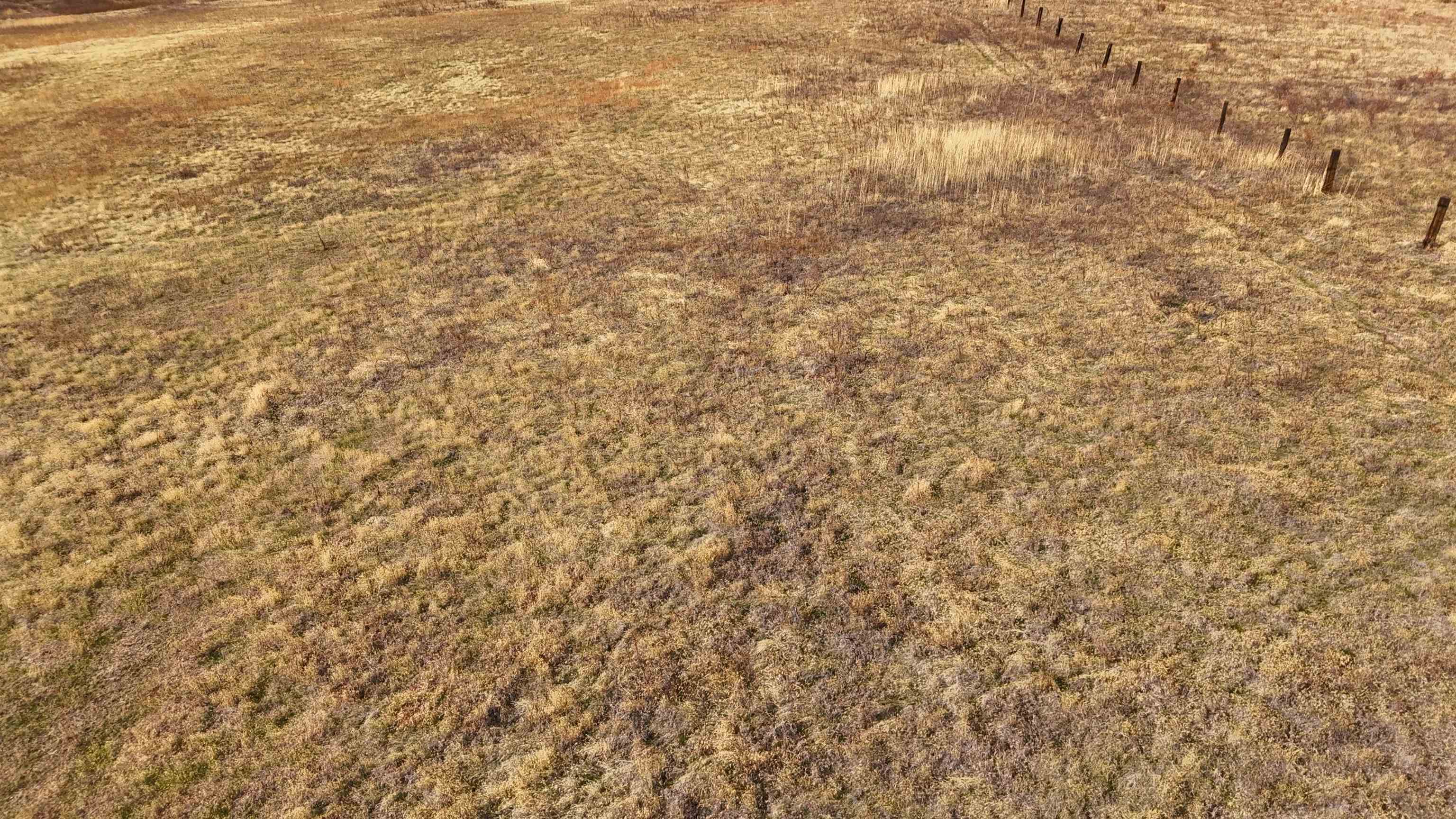 10 acres Riverview Dr.