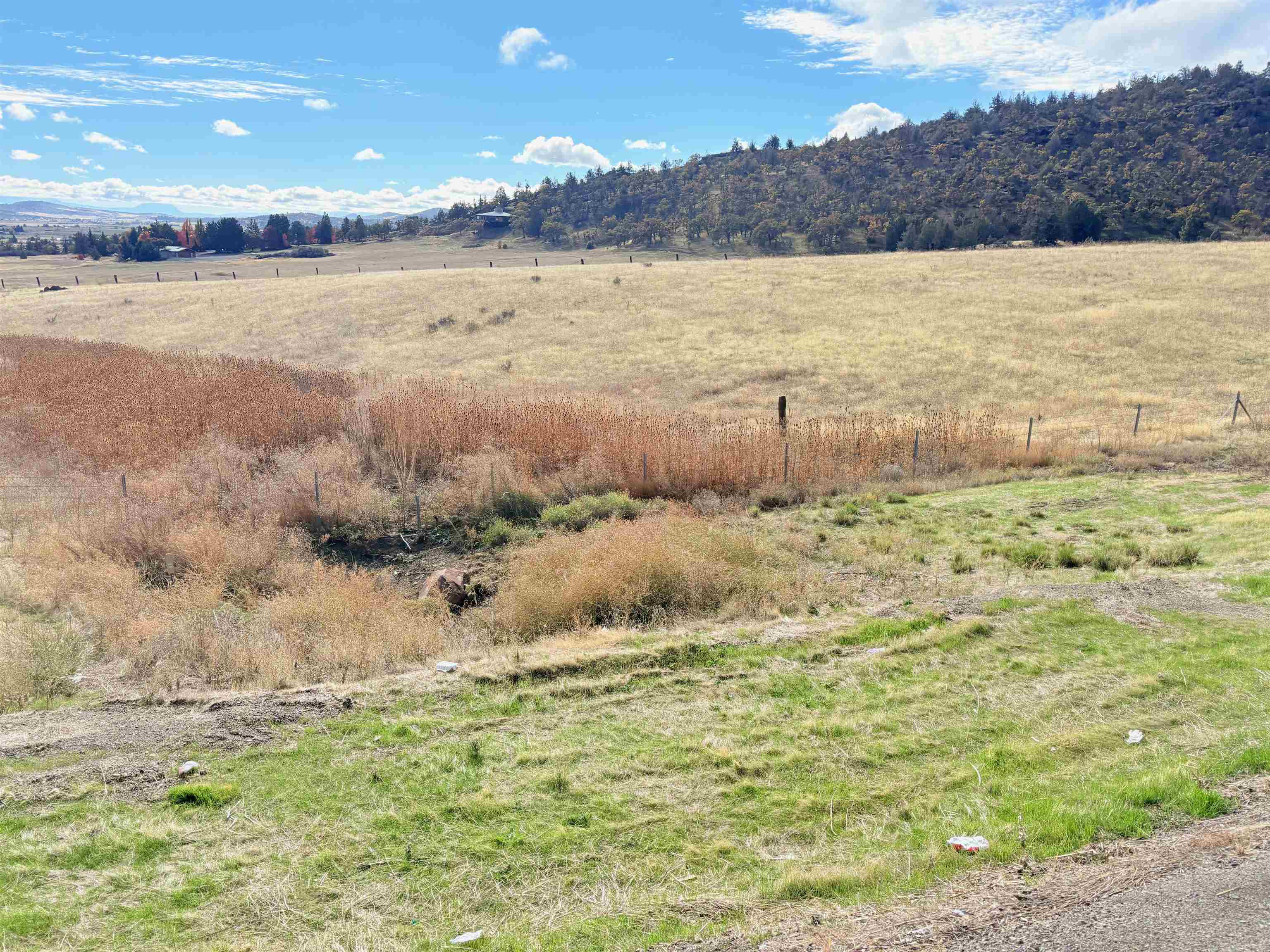 10 acres Riverview Dr.