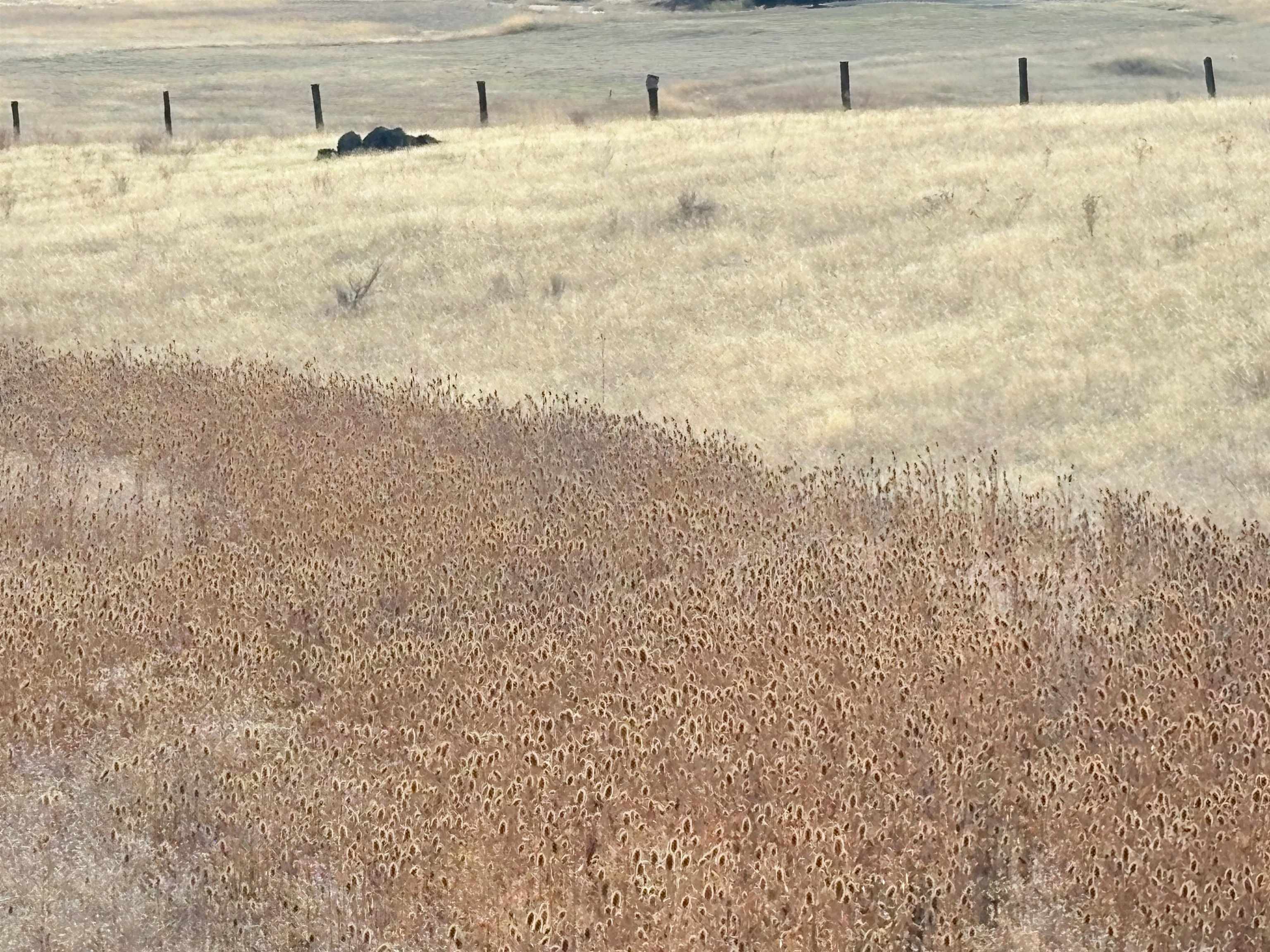 10 acres Riverview Dr.