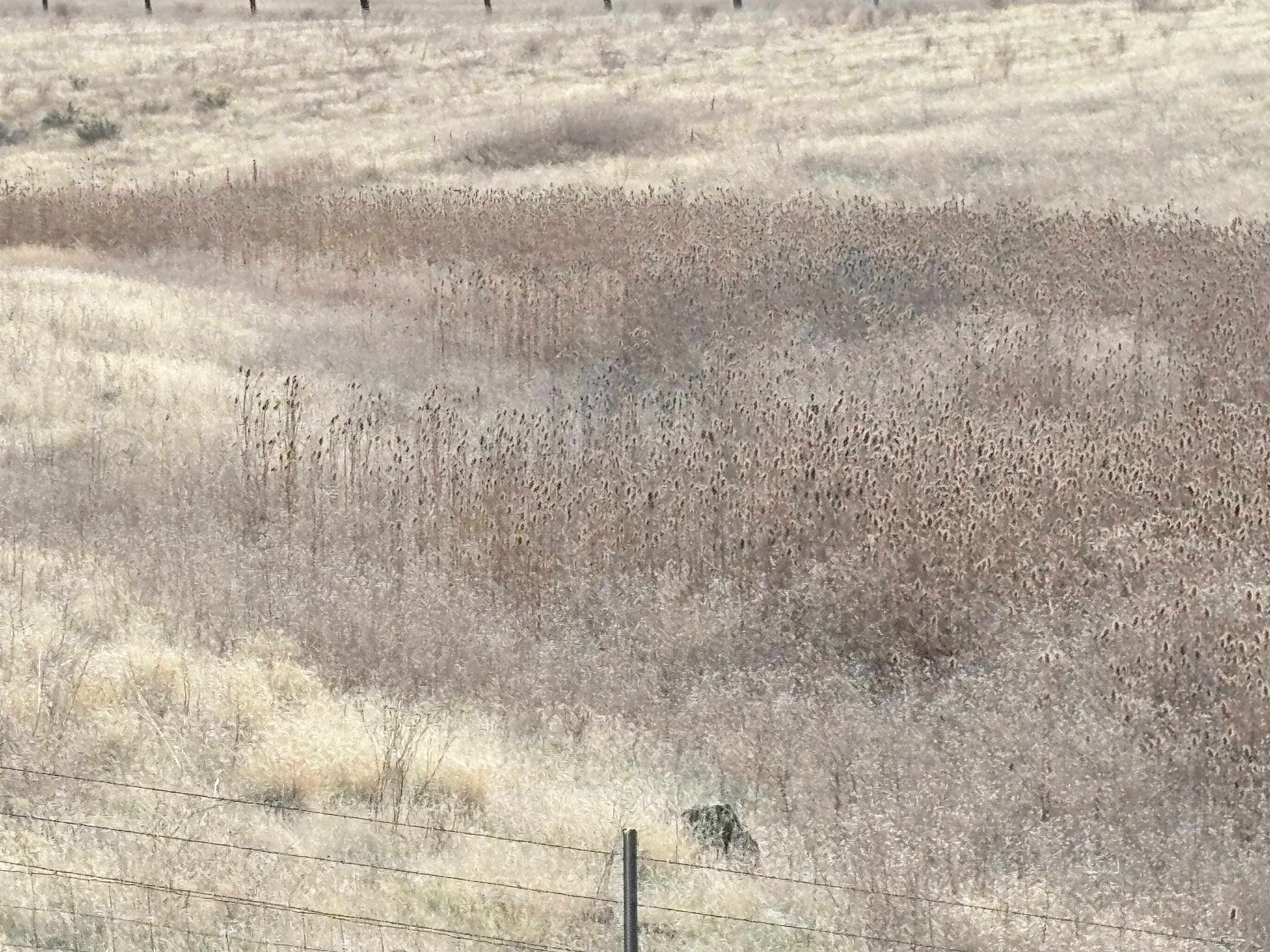 10 acres Riverview Dr.