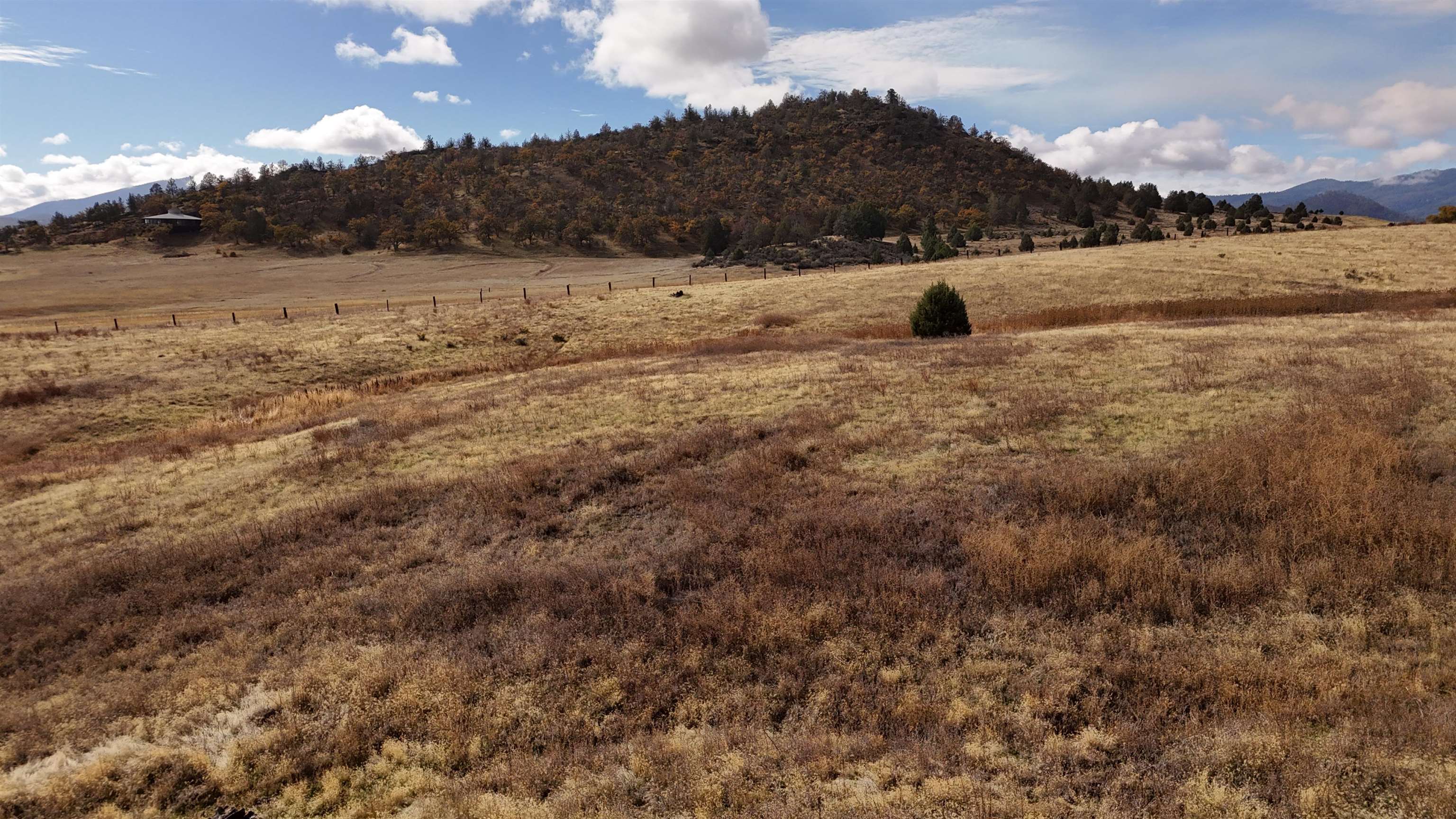 10 acres Riverview Dr.