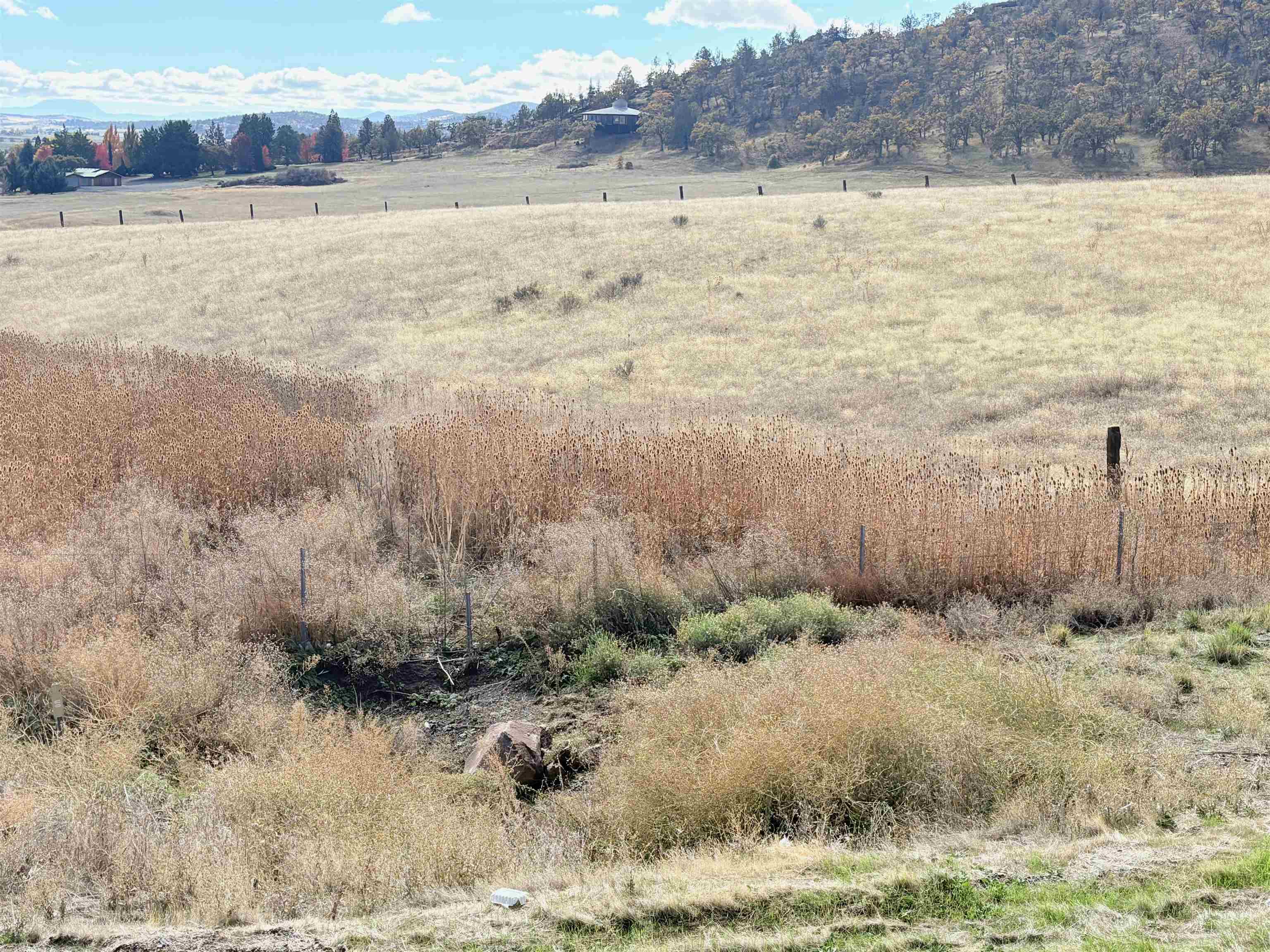 10 acres Riverview Dr.