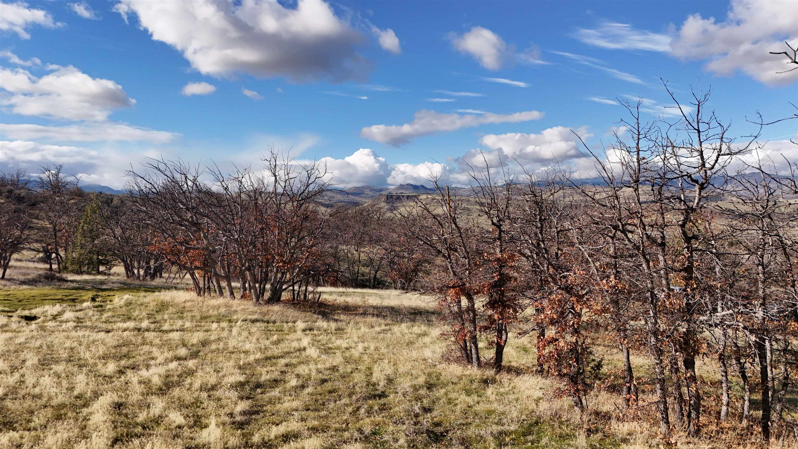 unit 4 Lot 446 Sea Horse Ln.