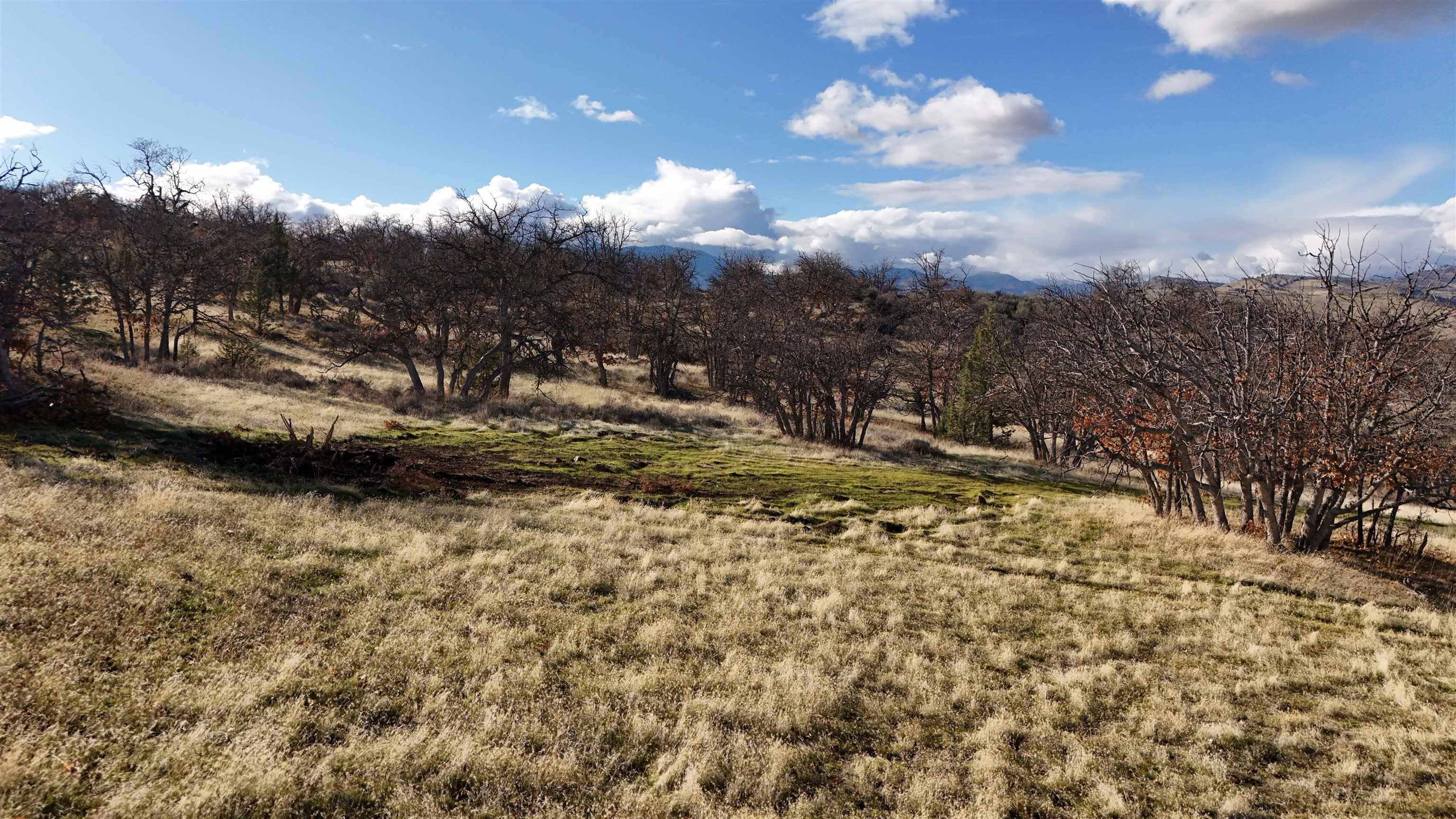 unit 4 Lot 446 Sea Horse Ln.