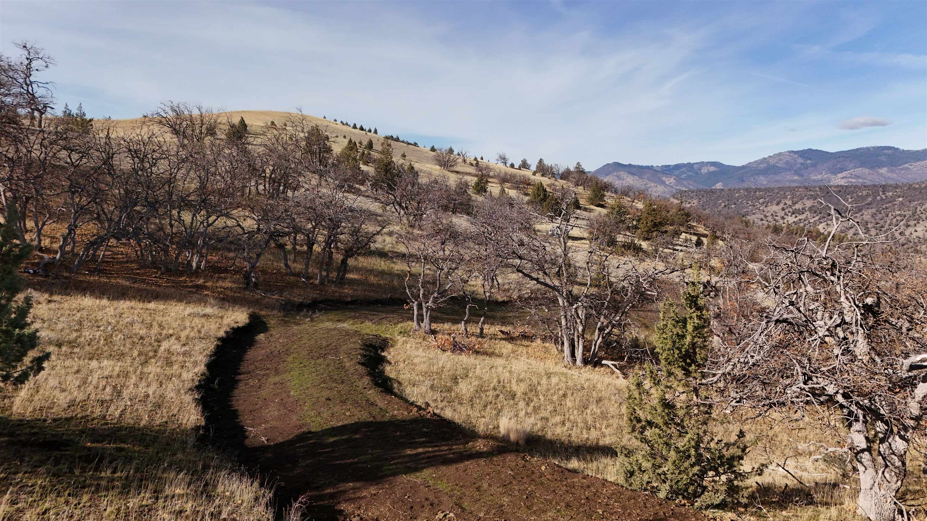 unit 4 Lot 162 Oak View Rd.