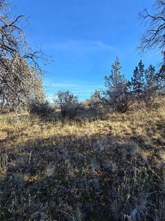 Quail Drive