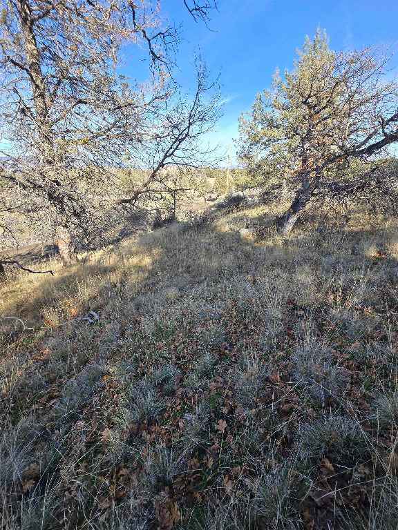 Quail Drive