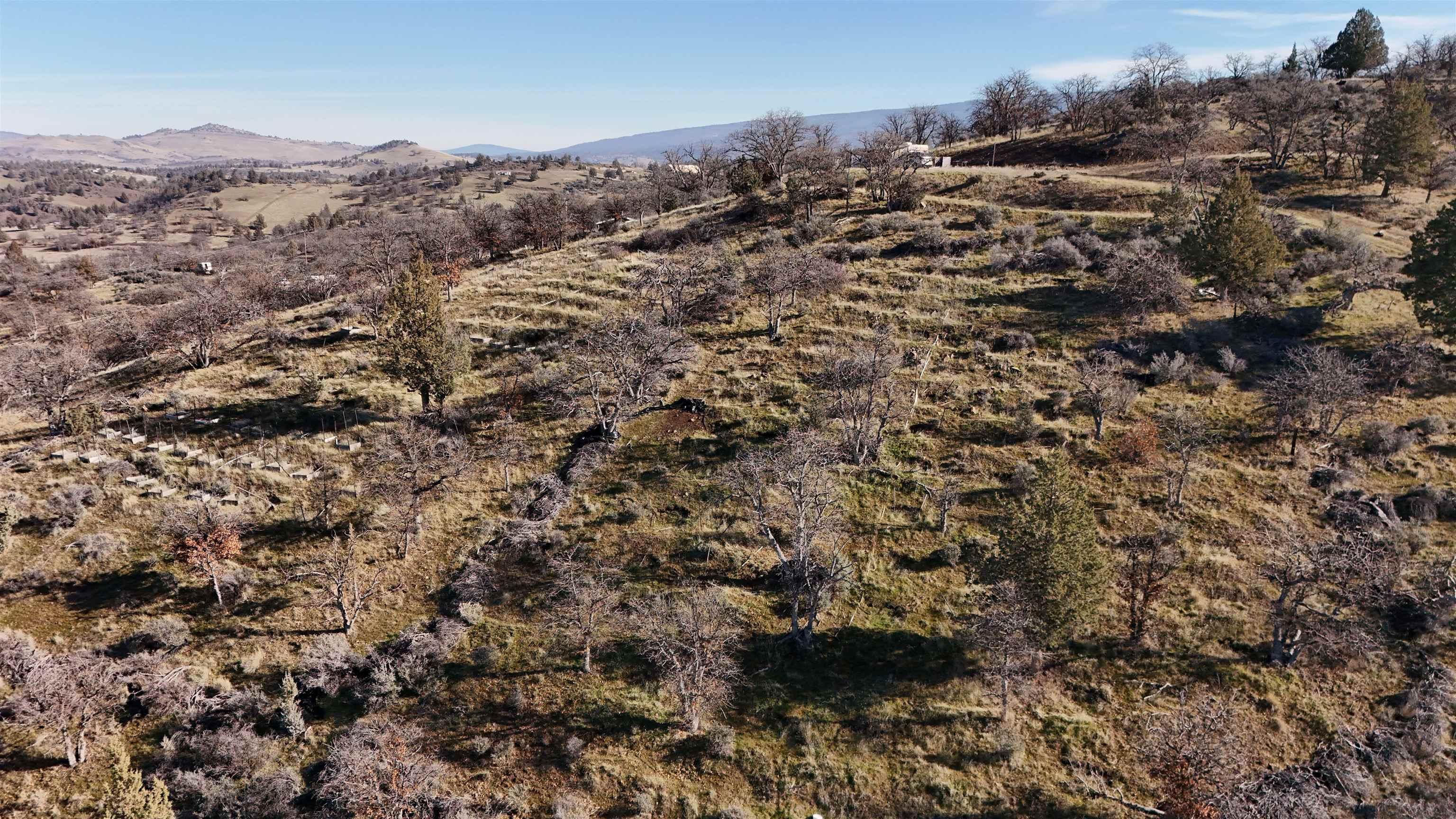 441 &442 Sea Horse Ln