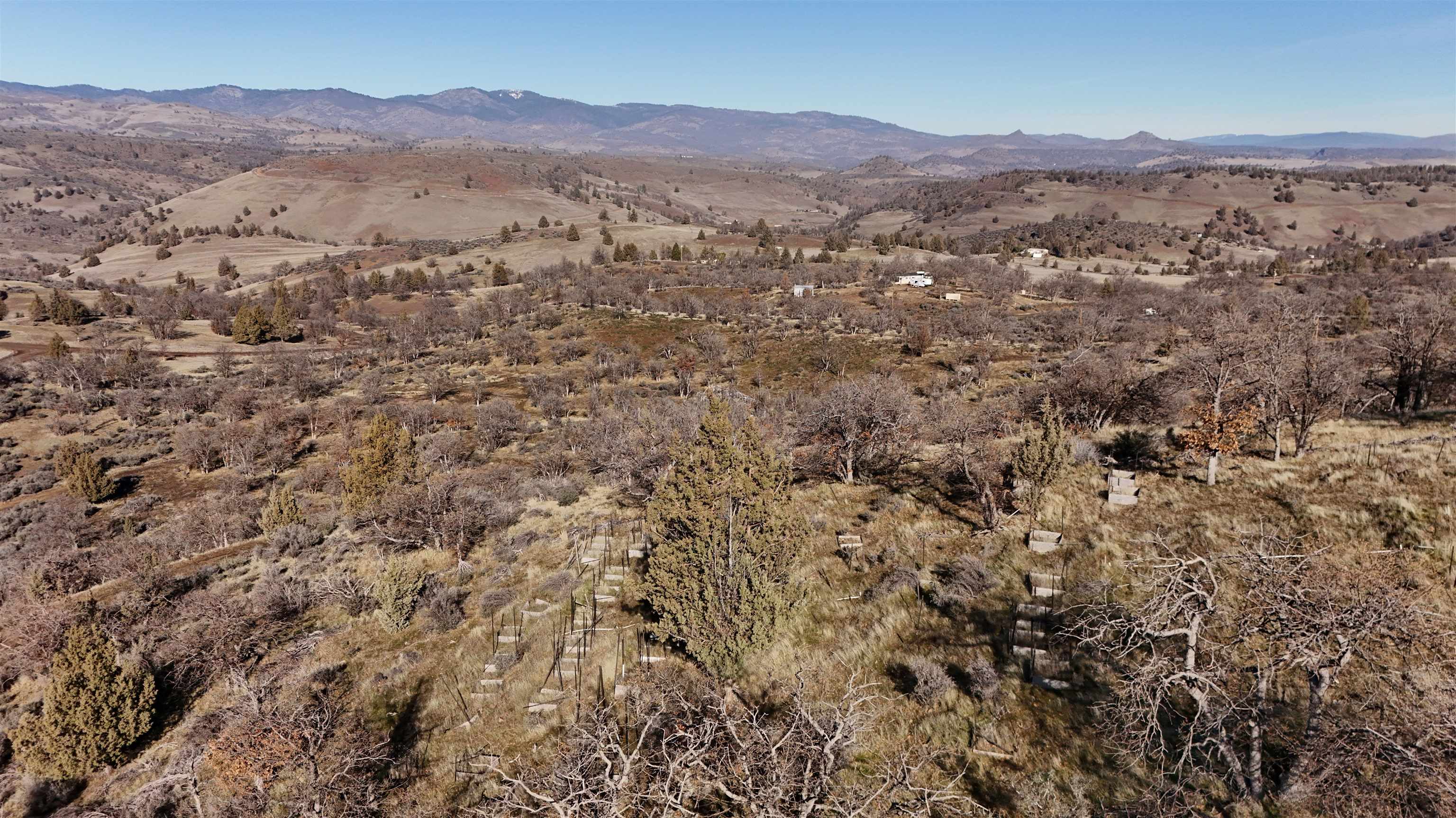 441 &442 Sea Horse Ln