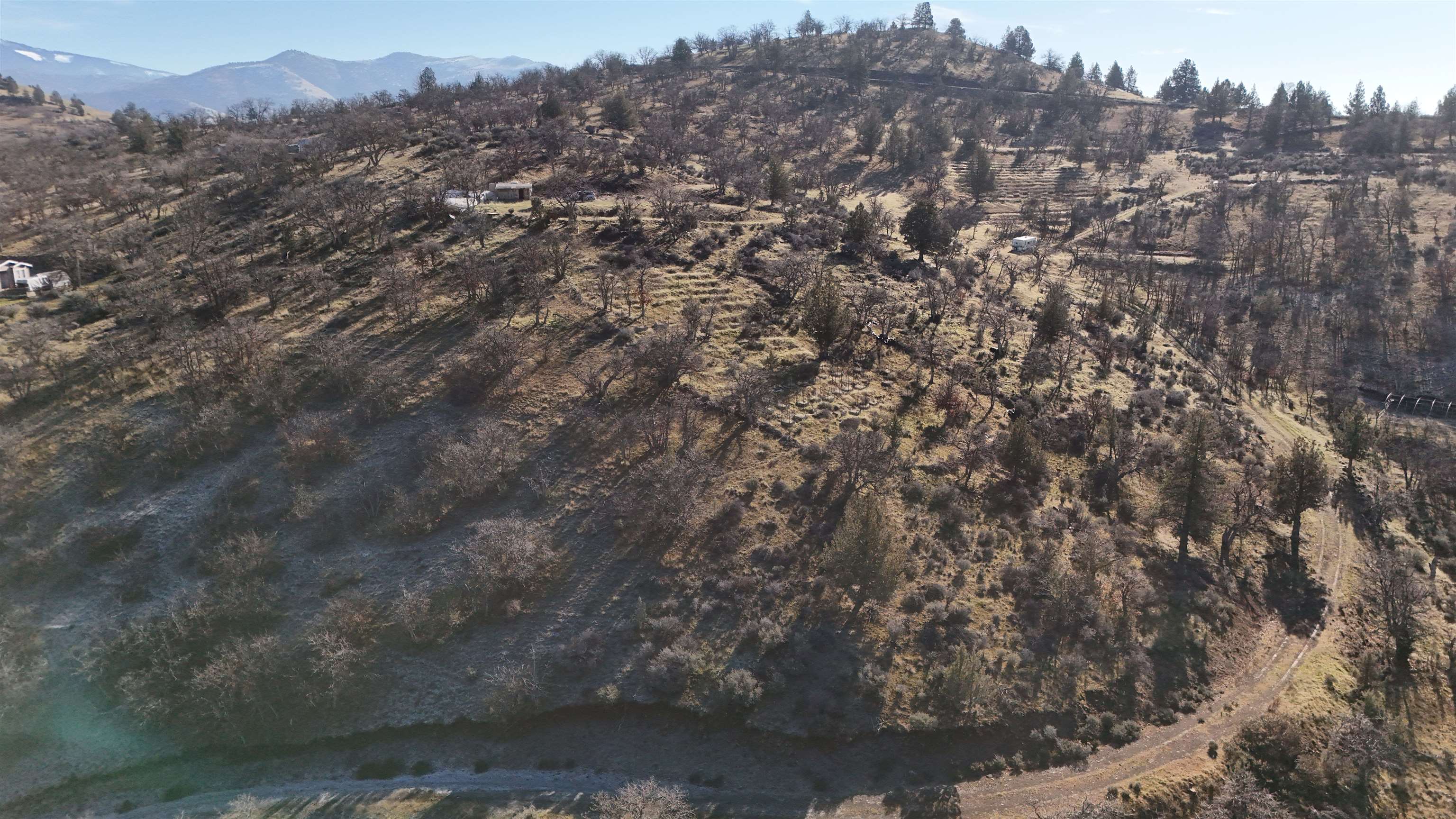 441 &442 Sea Horse Ln