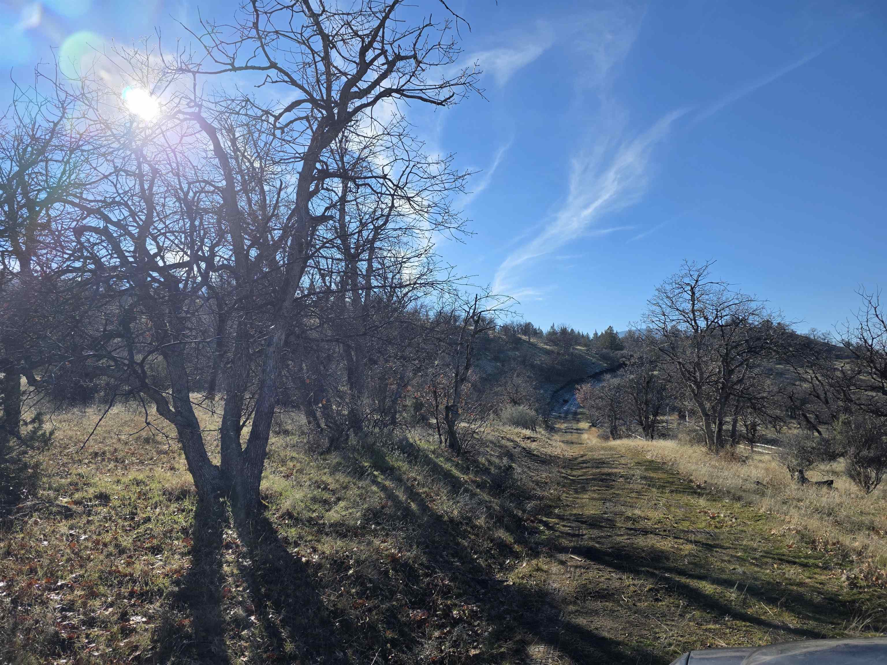 441 &442 Sea Horse Ln