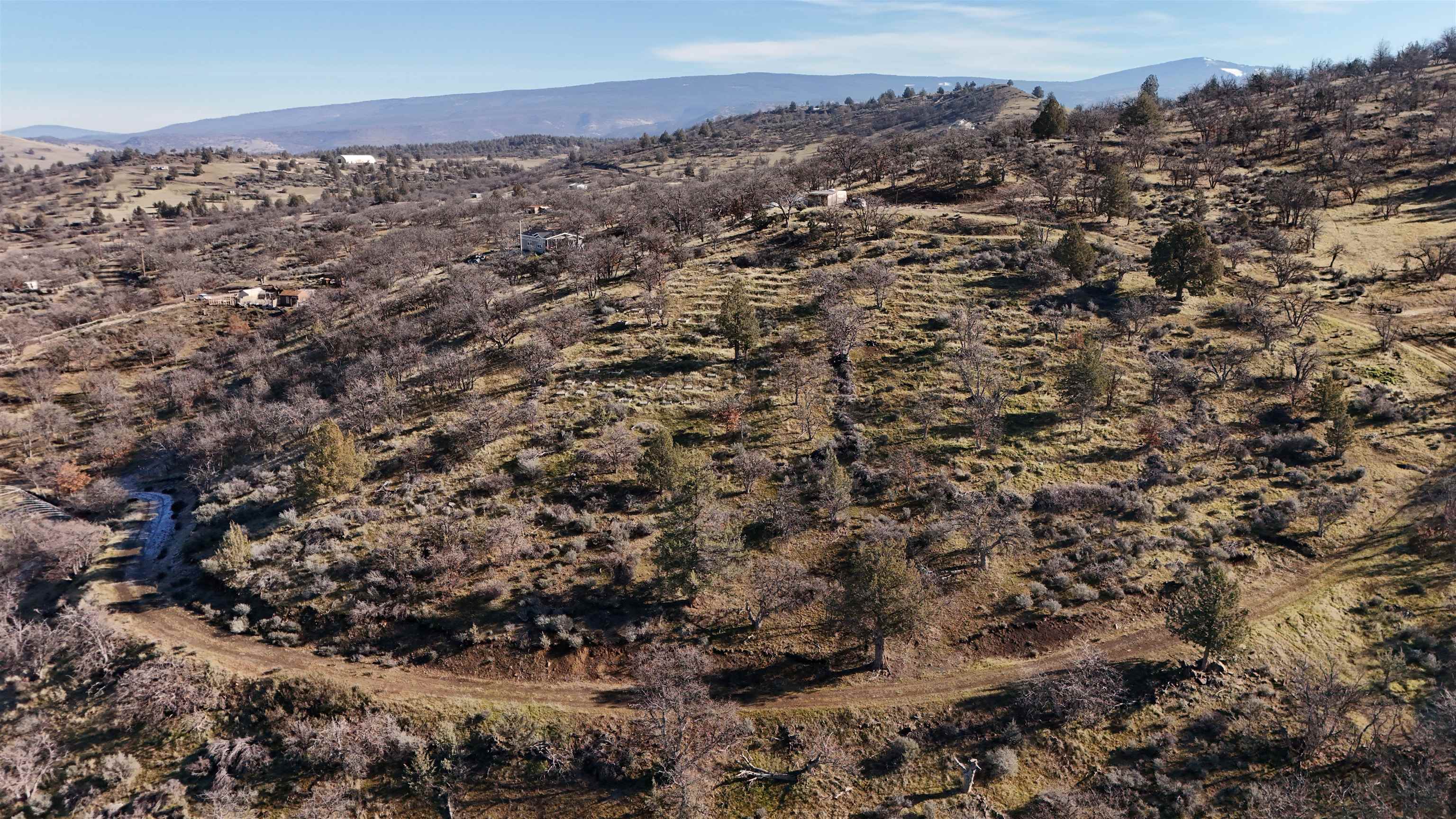 441 &442 Sea Horse Ln