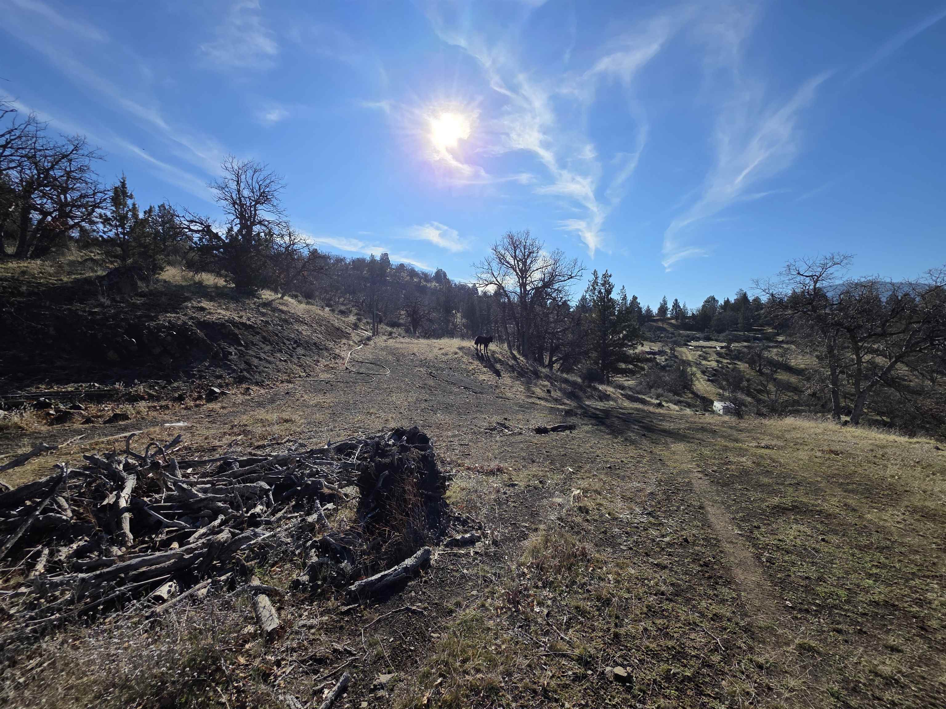 441 &442 Sea Horse Ln