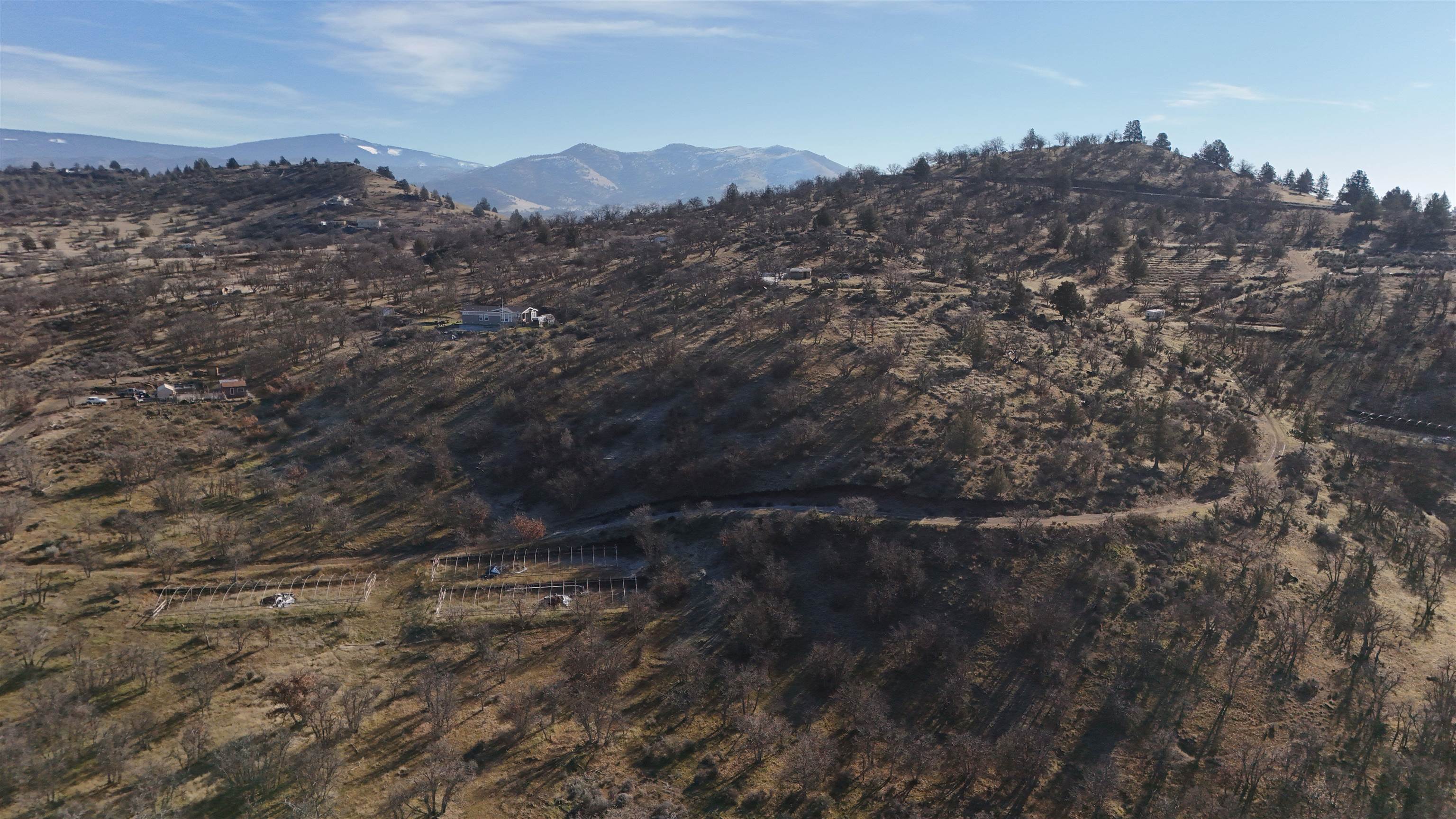 441 &442 Sea Horse Ln