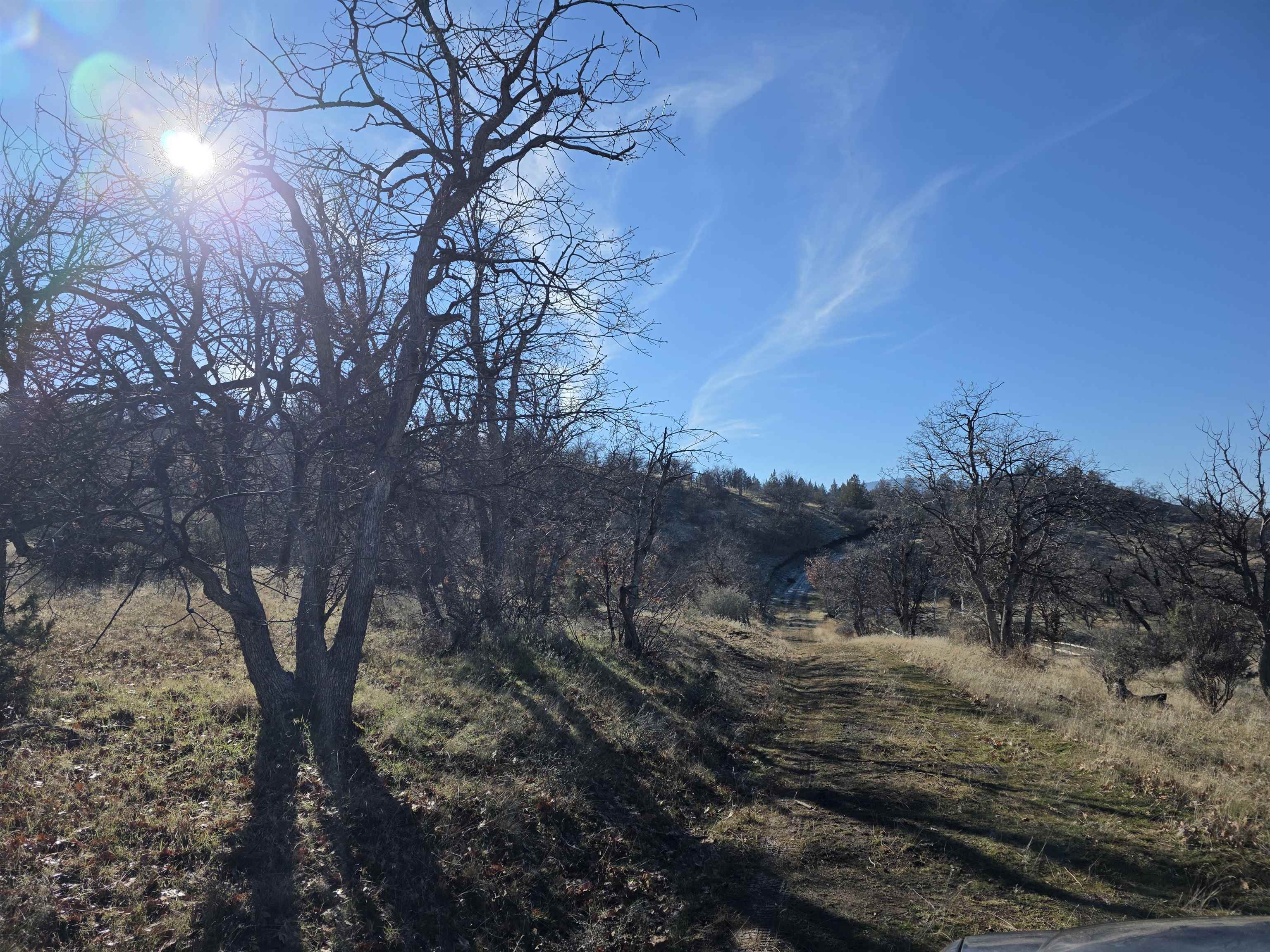 441 &442 Sea Horse Ln