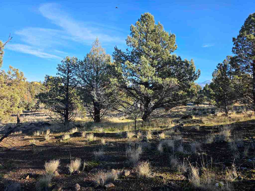 Unit 9-2 Lot 25 Quail Ridge
