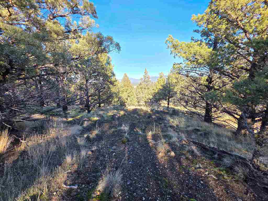 Unit 9-2 Lot 25 Quail Ridge