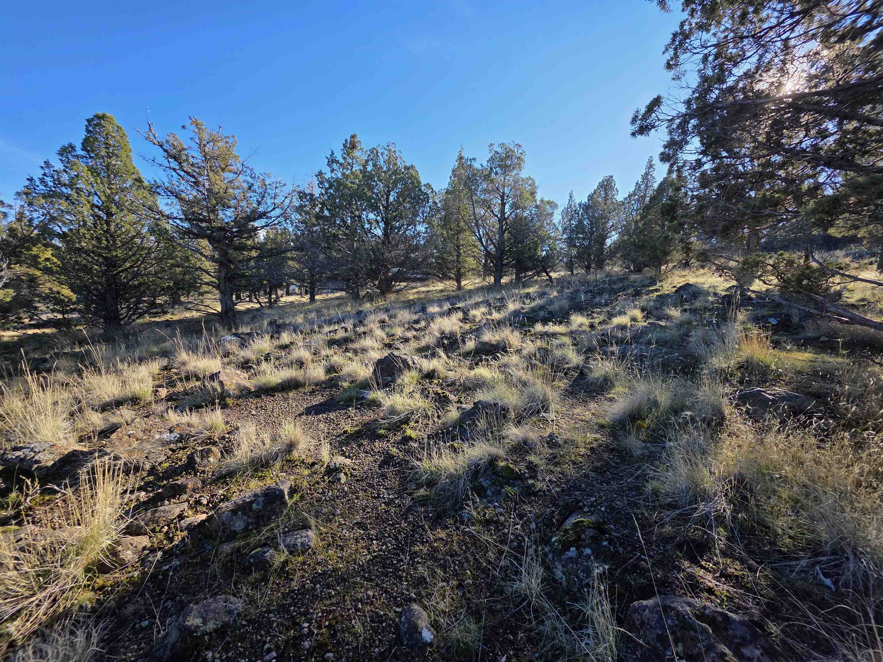 Unit 9-2 Lot 25 Quail Ridge