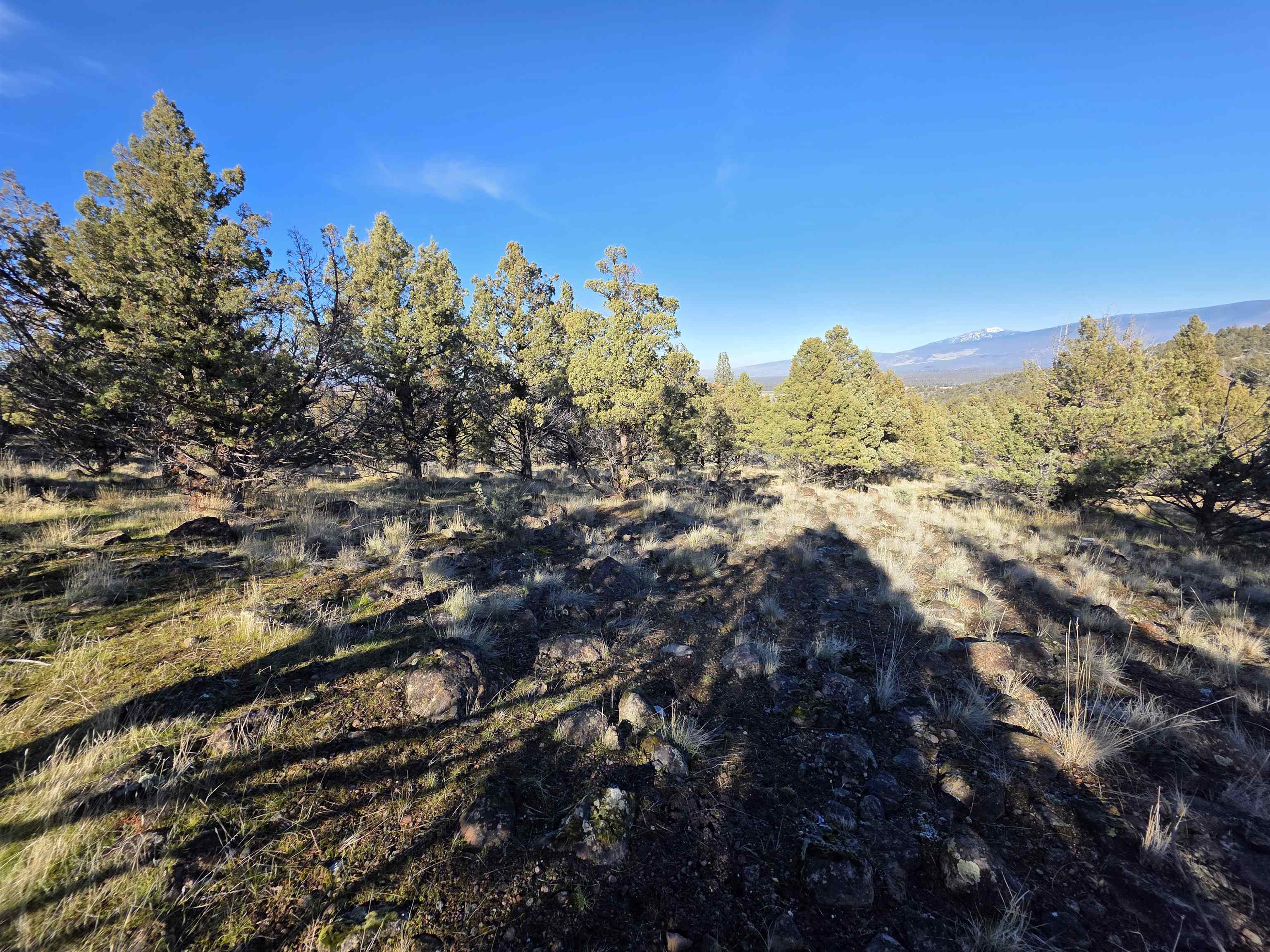 Unit 9-2 Lot 25 Quail Ridge