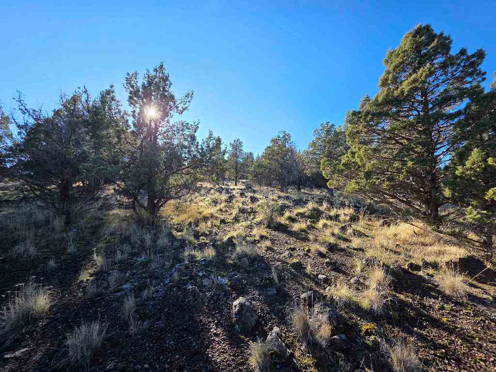 Unit 9-2 Lot 25 Quail Ridge