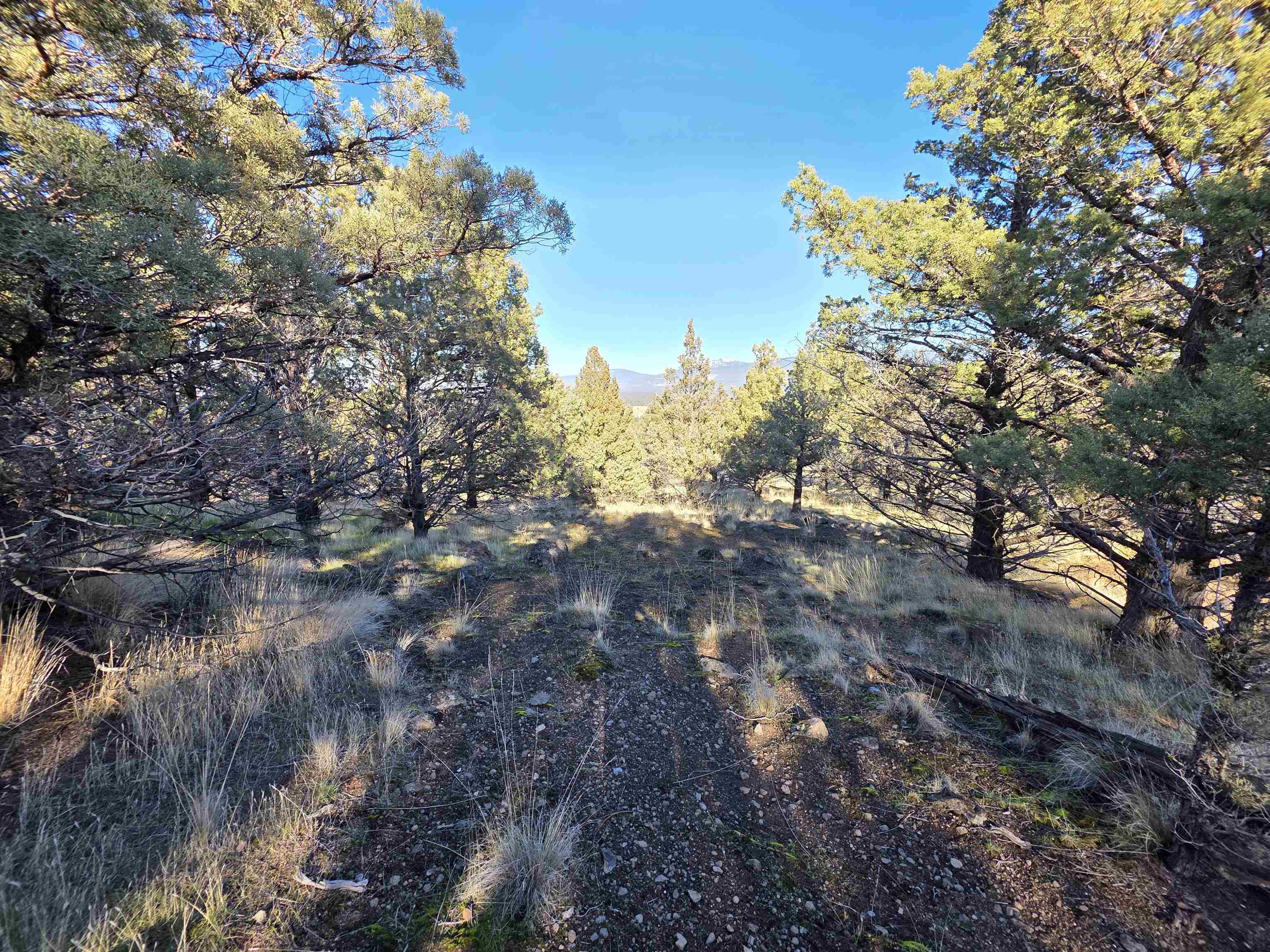 Unit 9-2 Lot 25 Quail Ridge