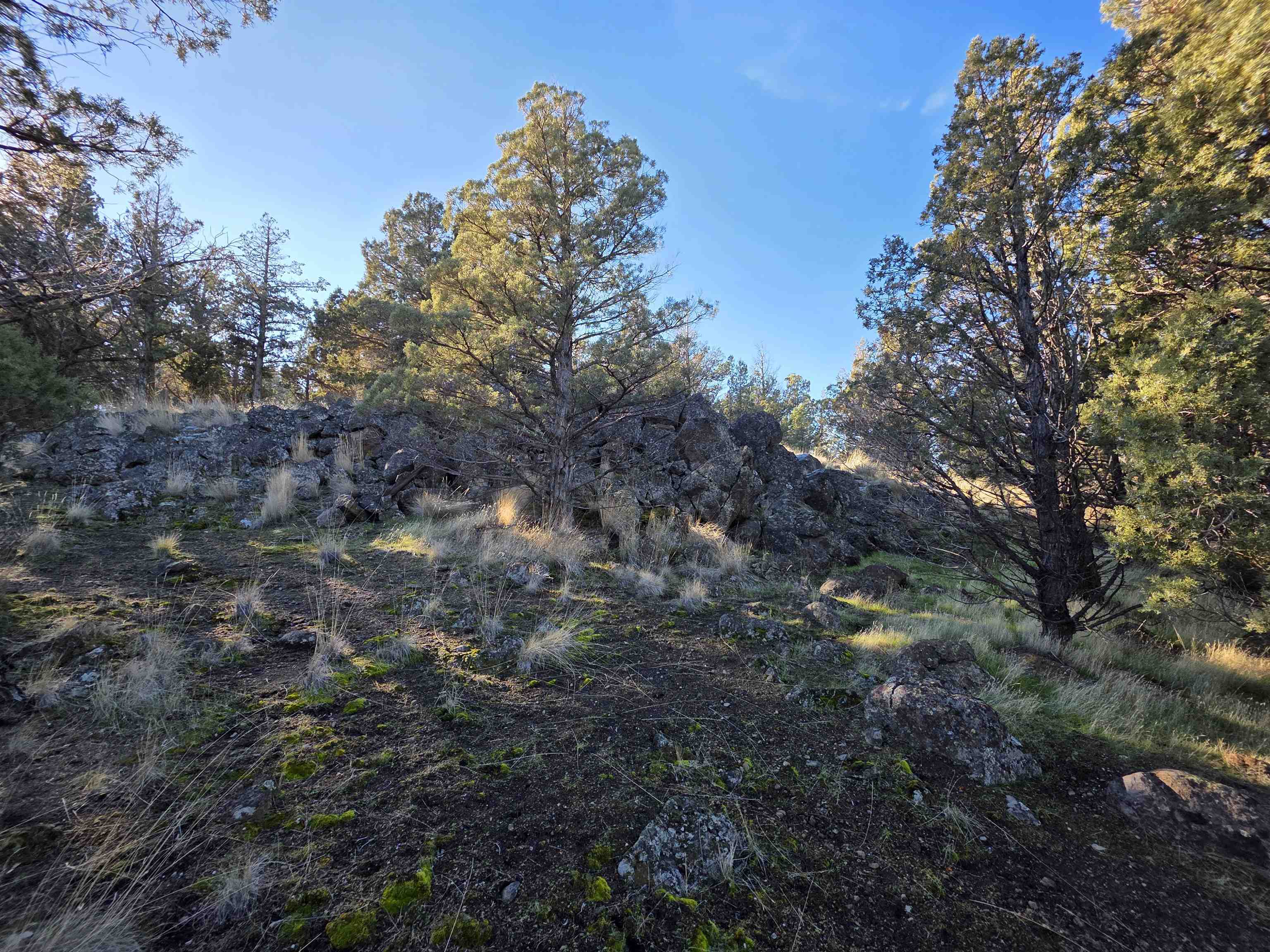 Unit 9-2 Lot 25 Quail Ridge