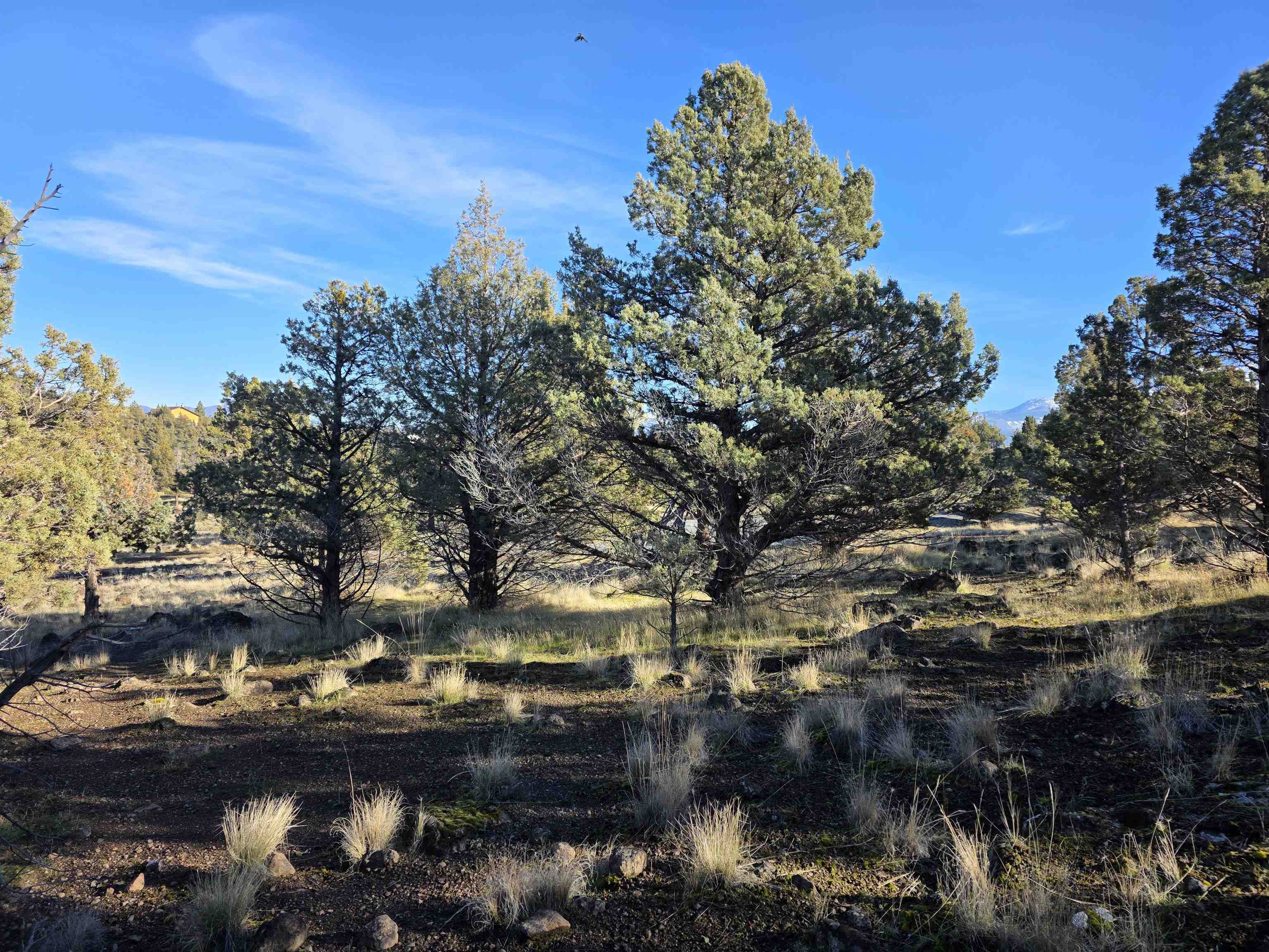 Unit 9-2 Lot 25 Quail Ridge