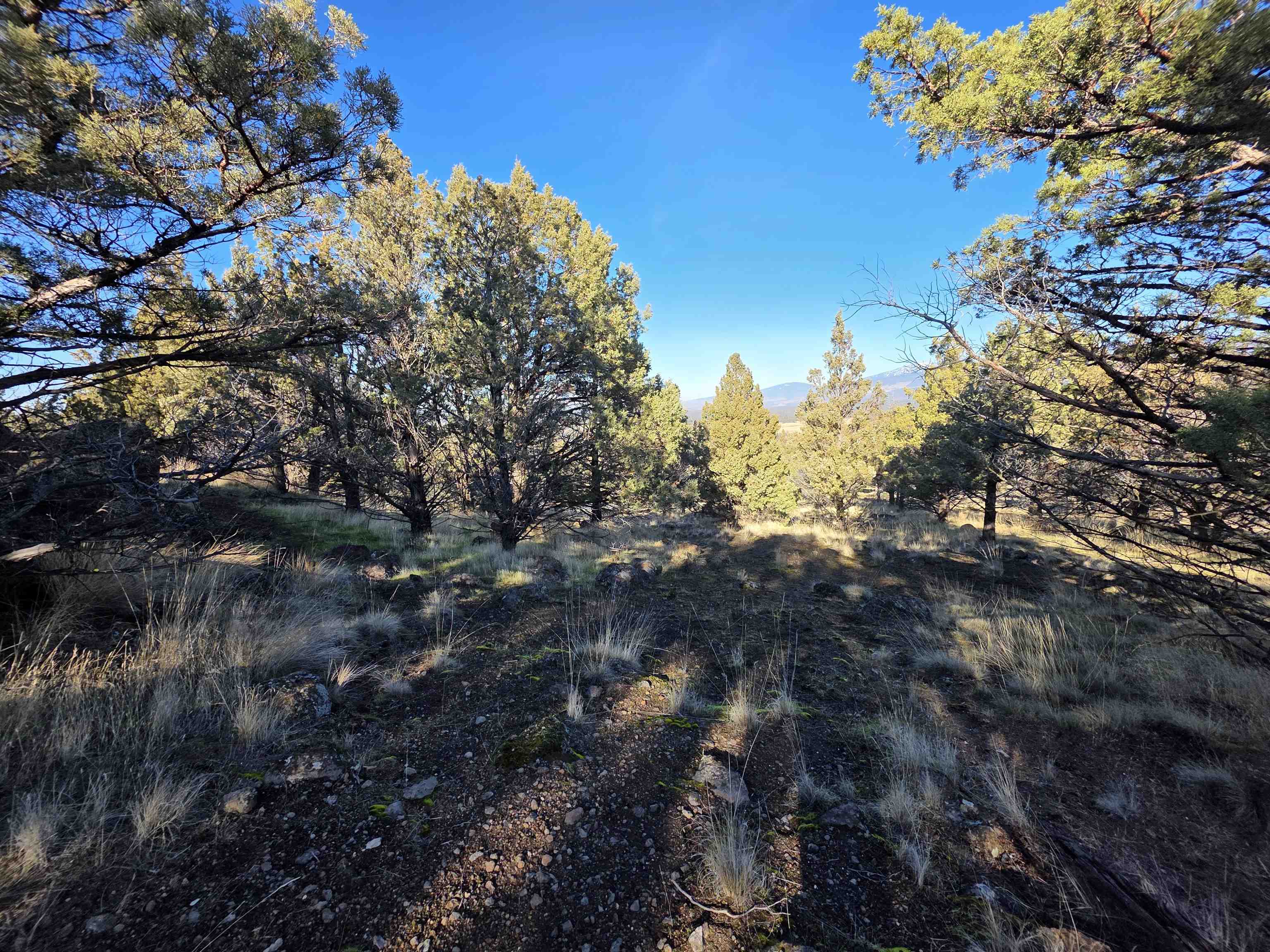 Unit 9-2 Lot 25 Quail Ridge