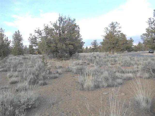 215 Mountain Wood Dr.