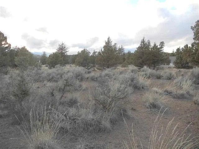 215 Mountain Wood Dr.